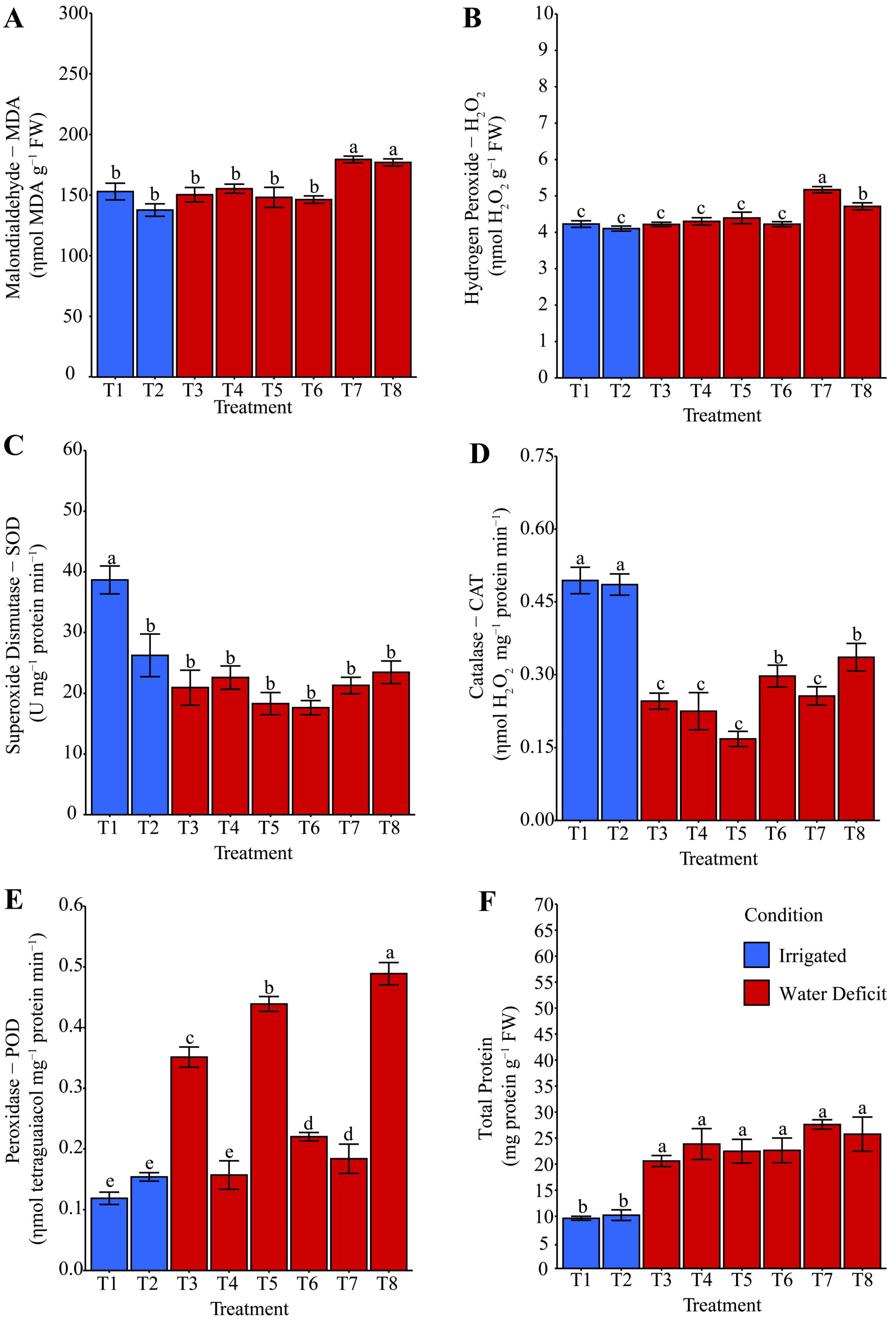 Plants 14 03173 g005