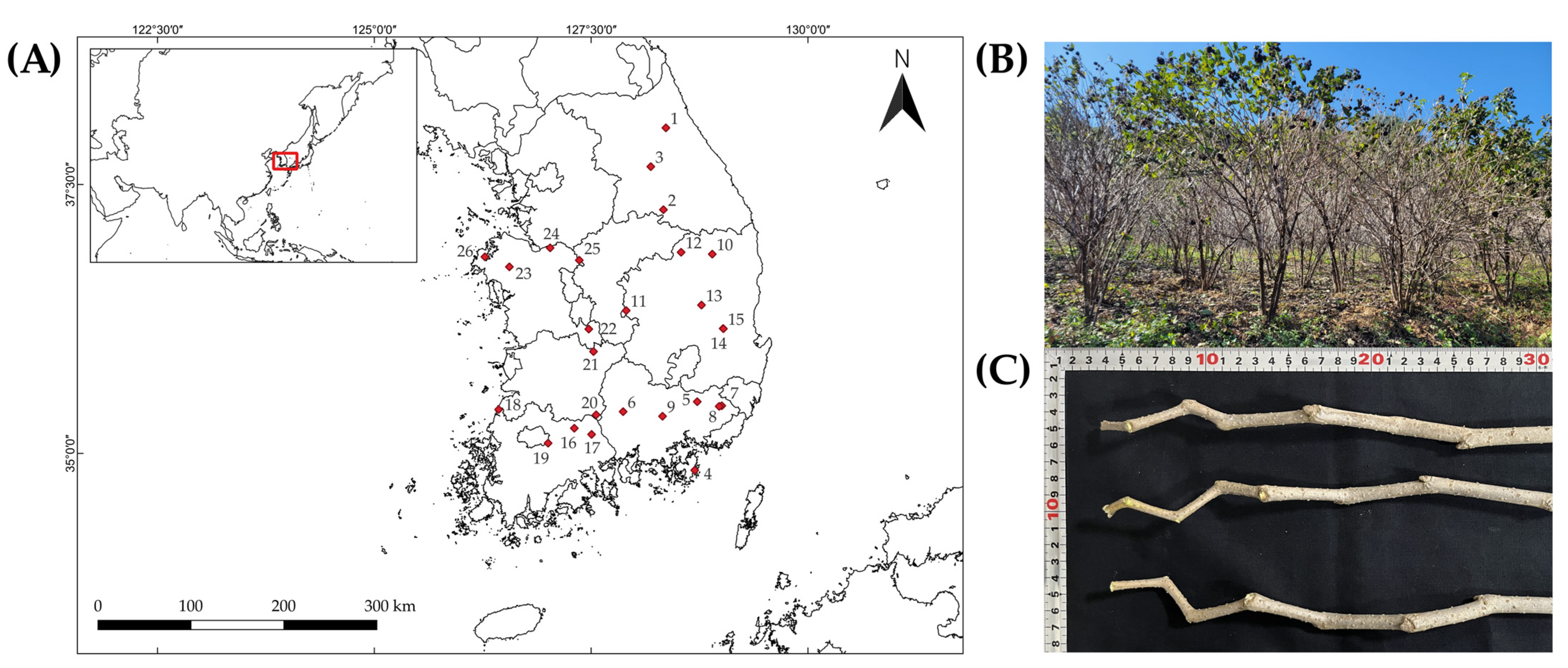 Plants 14 03175 g004