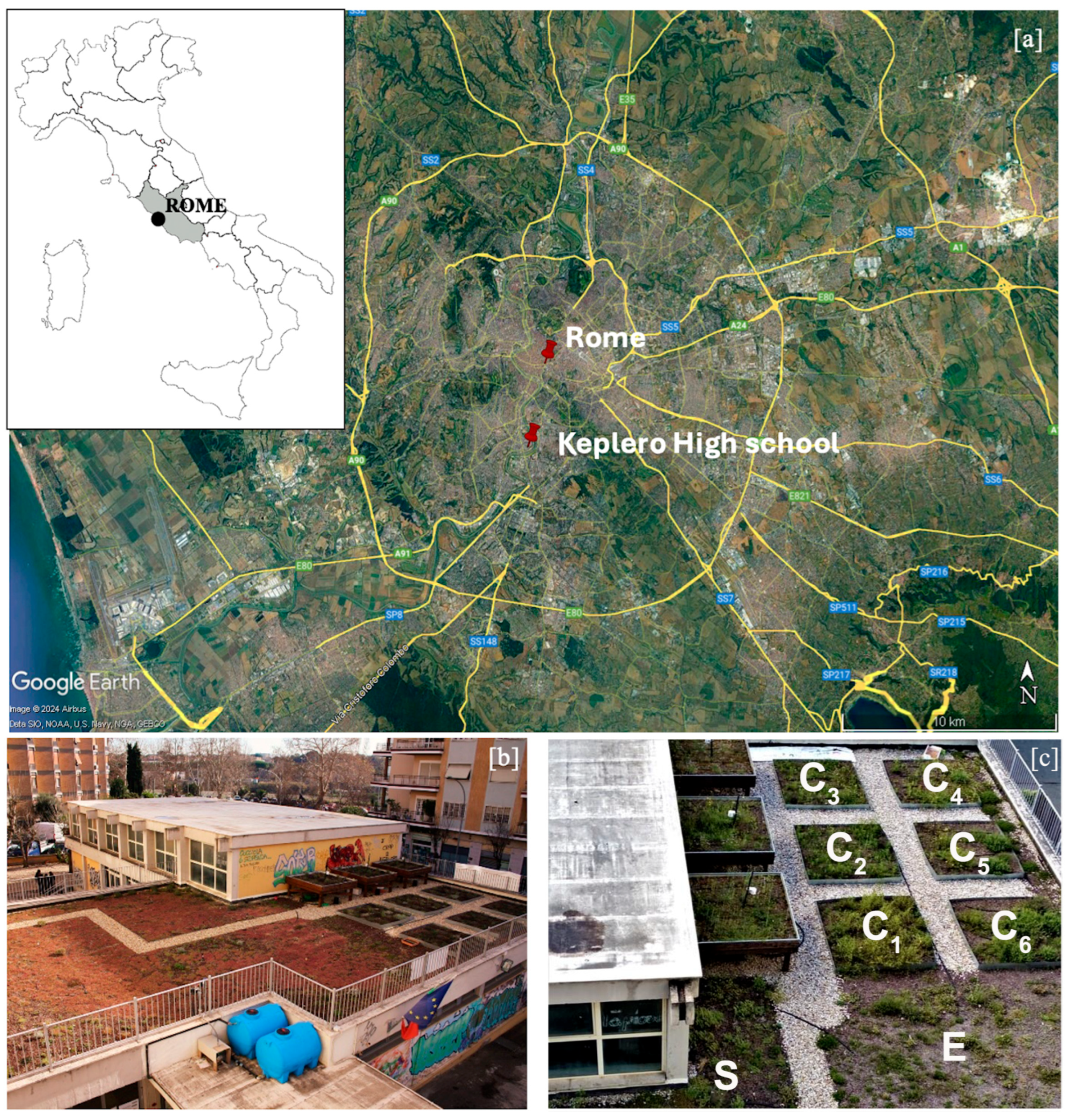 Plants 14 03180 g007