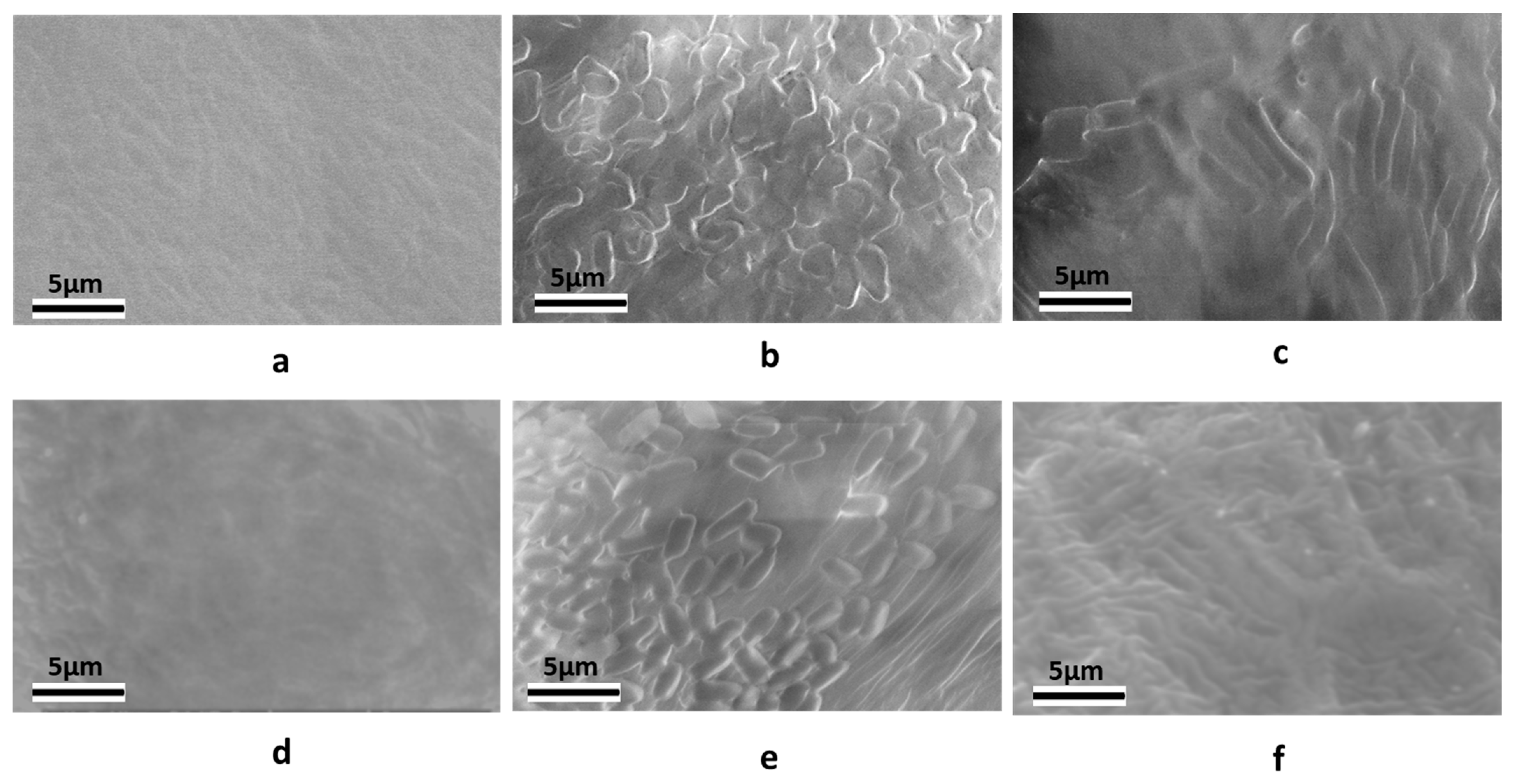 Plants 14 03184 g003 Plants 14 03184 g003