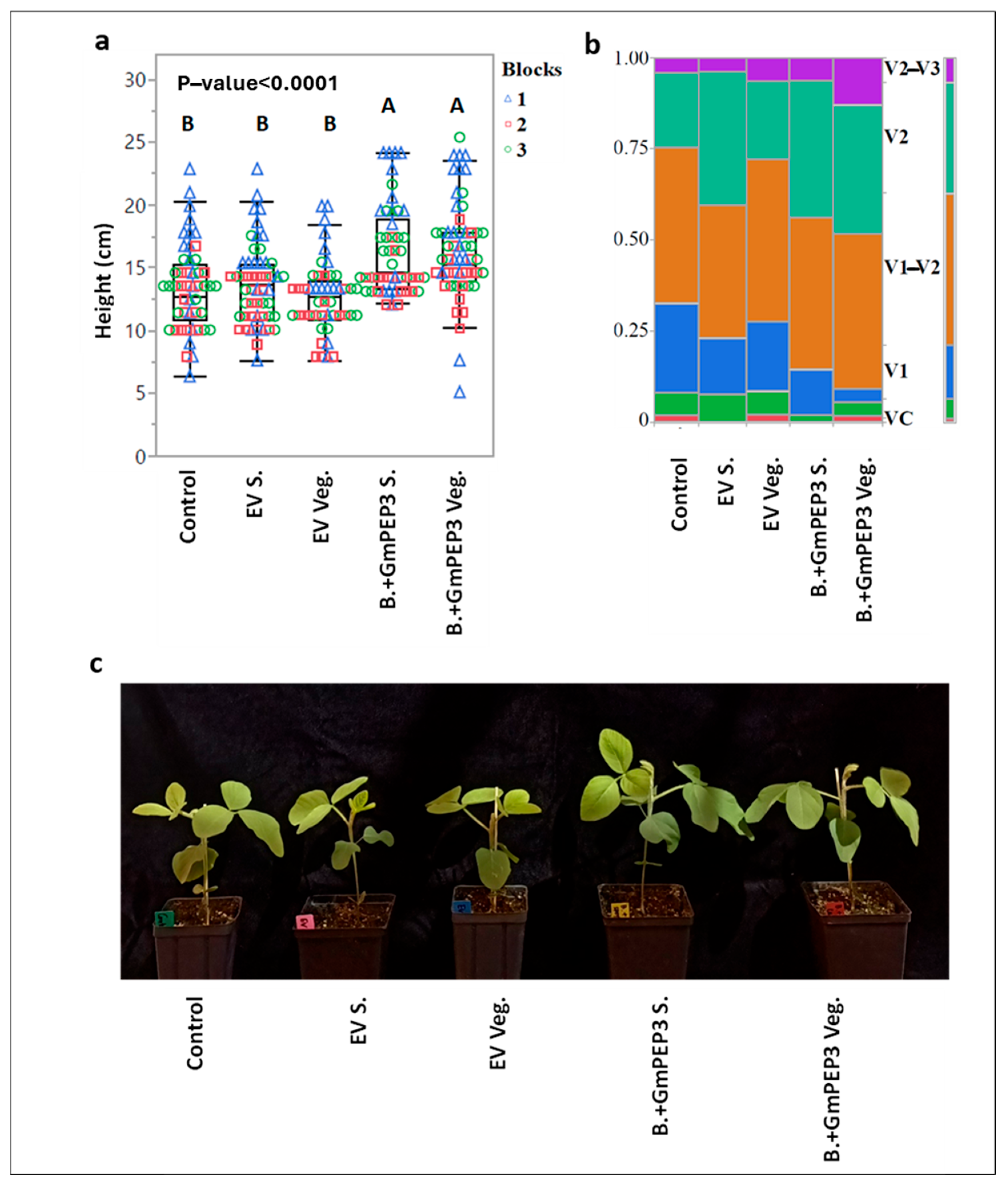 Plants 14 03184 g004 Plants 14 03184 g004