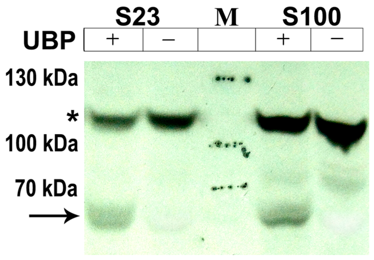 Plants 14 03191 g003