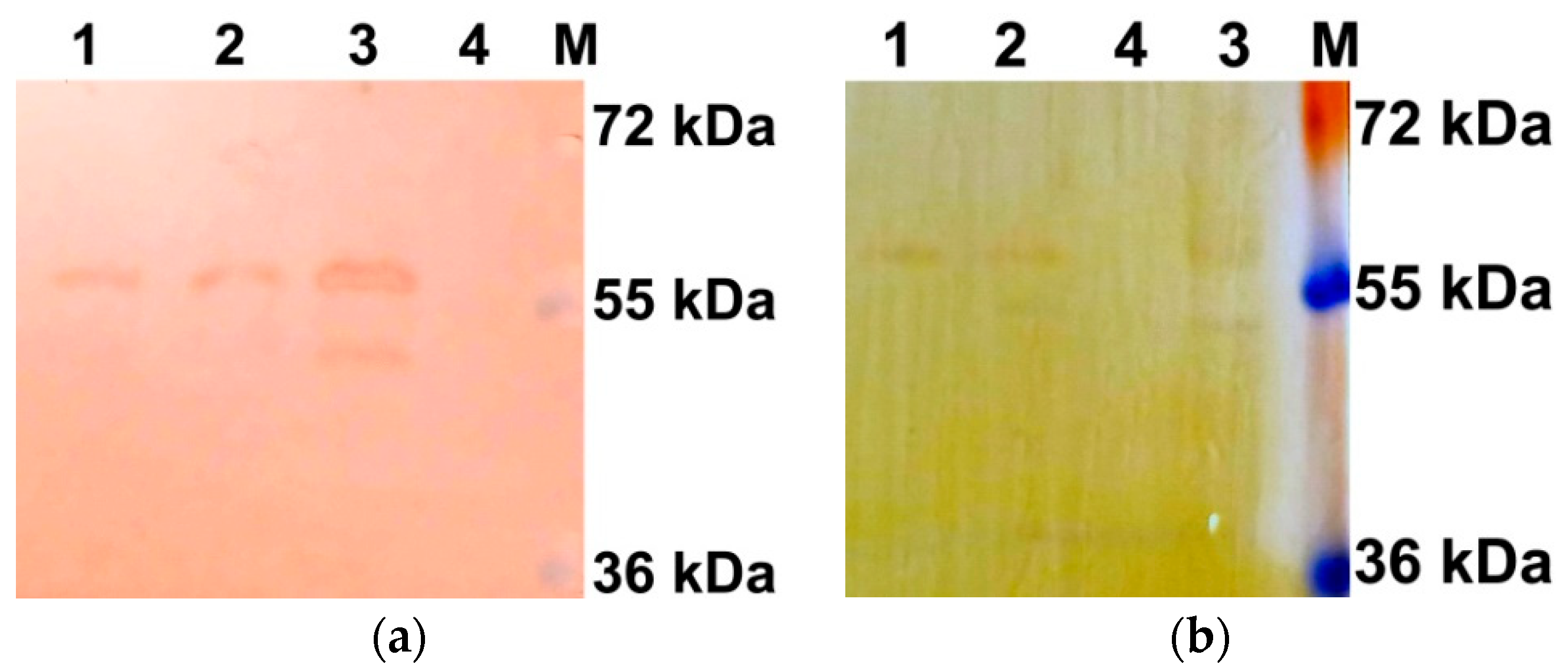 Plants 14 03191 g006