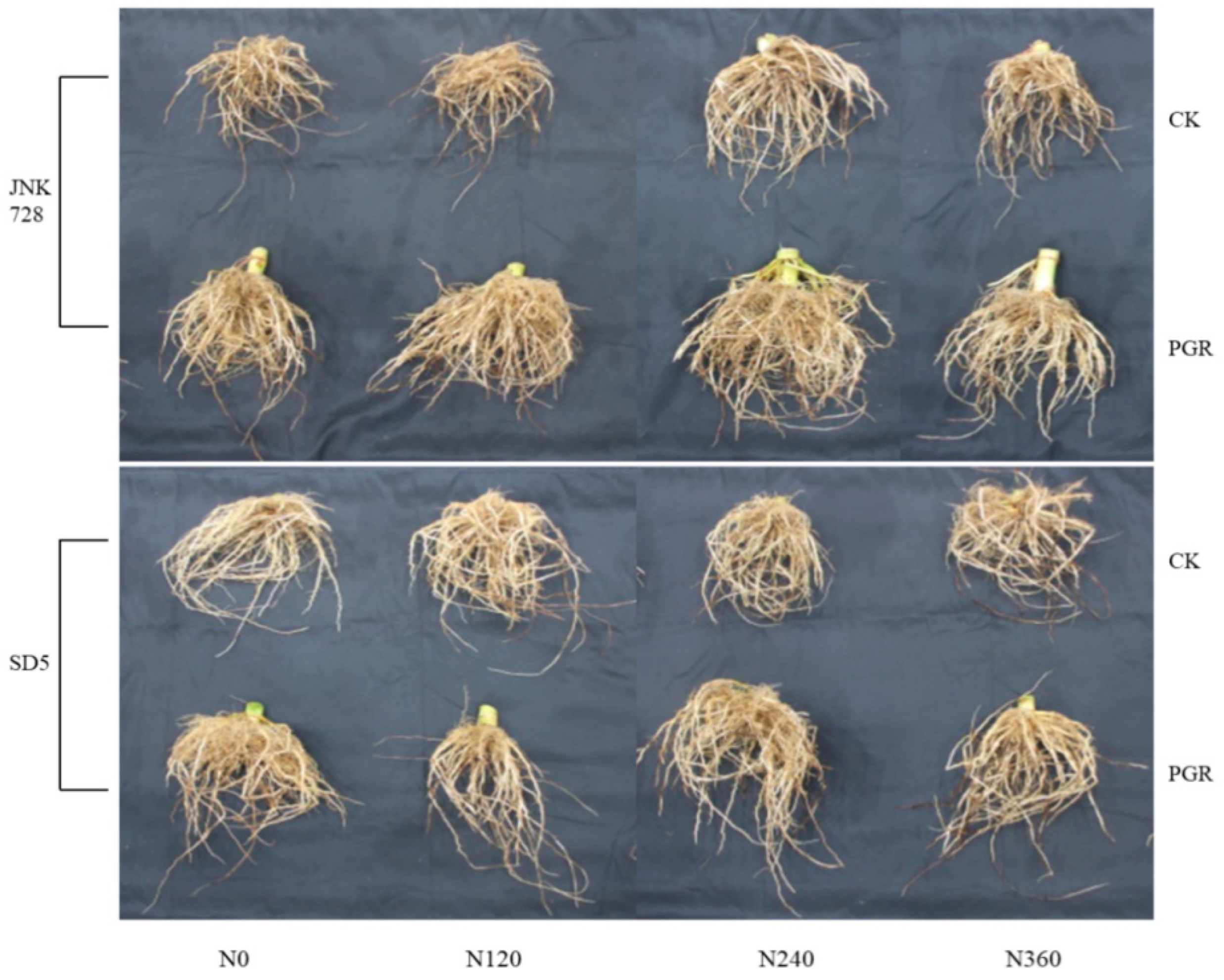 Plants 14 03193 g001 Plants 14 03193 g001