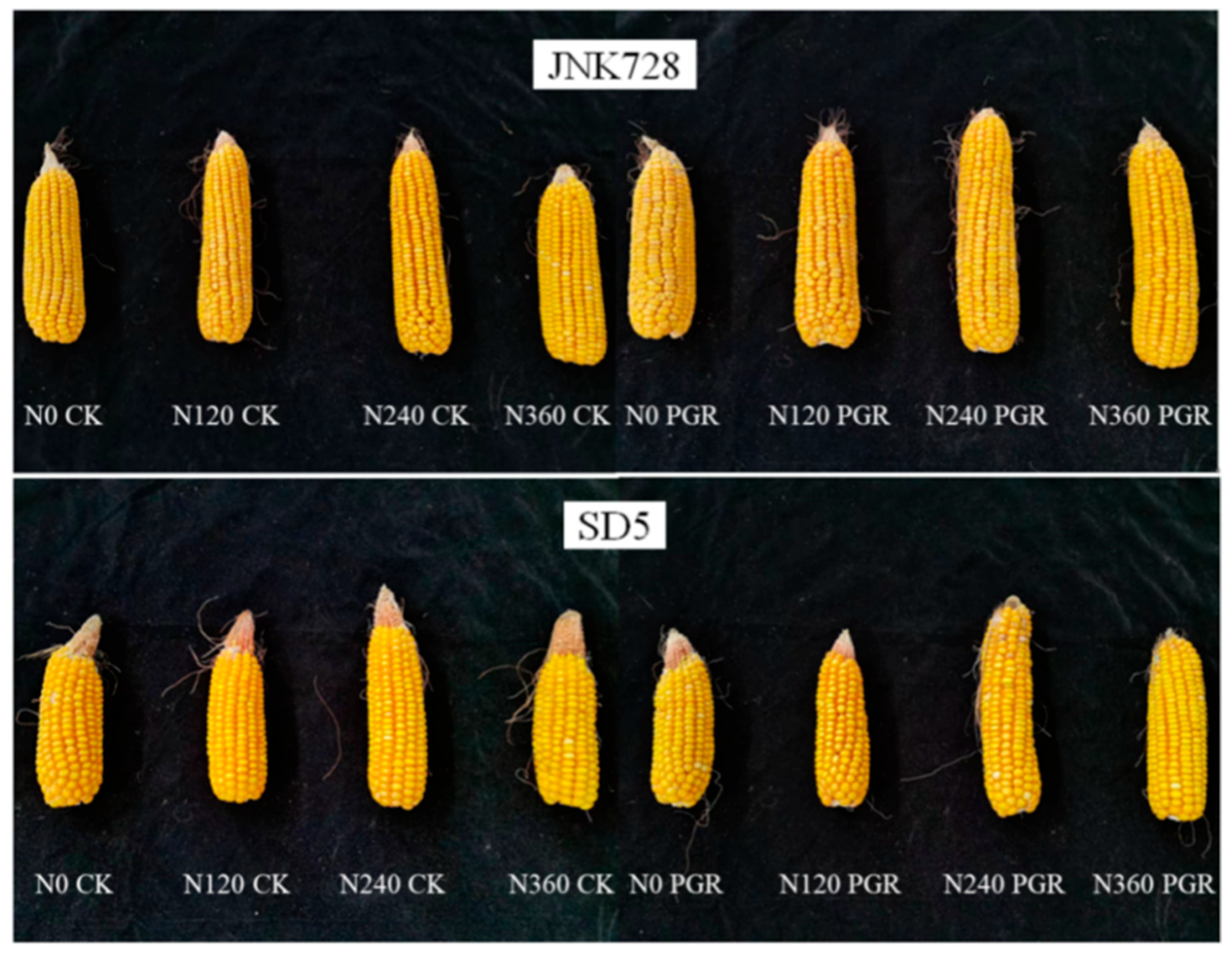 Plants 14 03193 g006 Plants 14 03193 g006