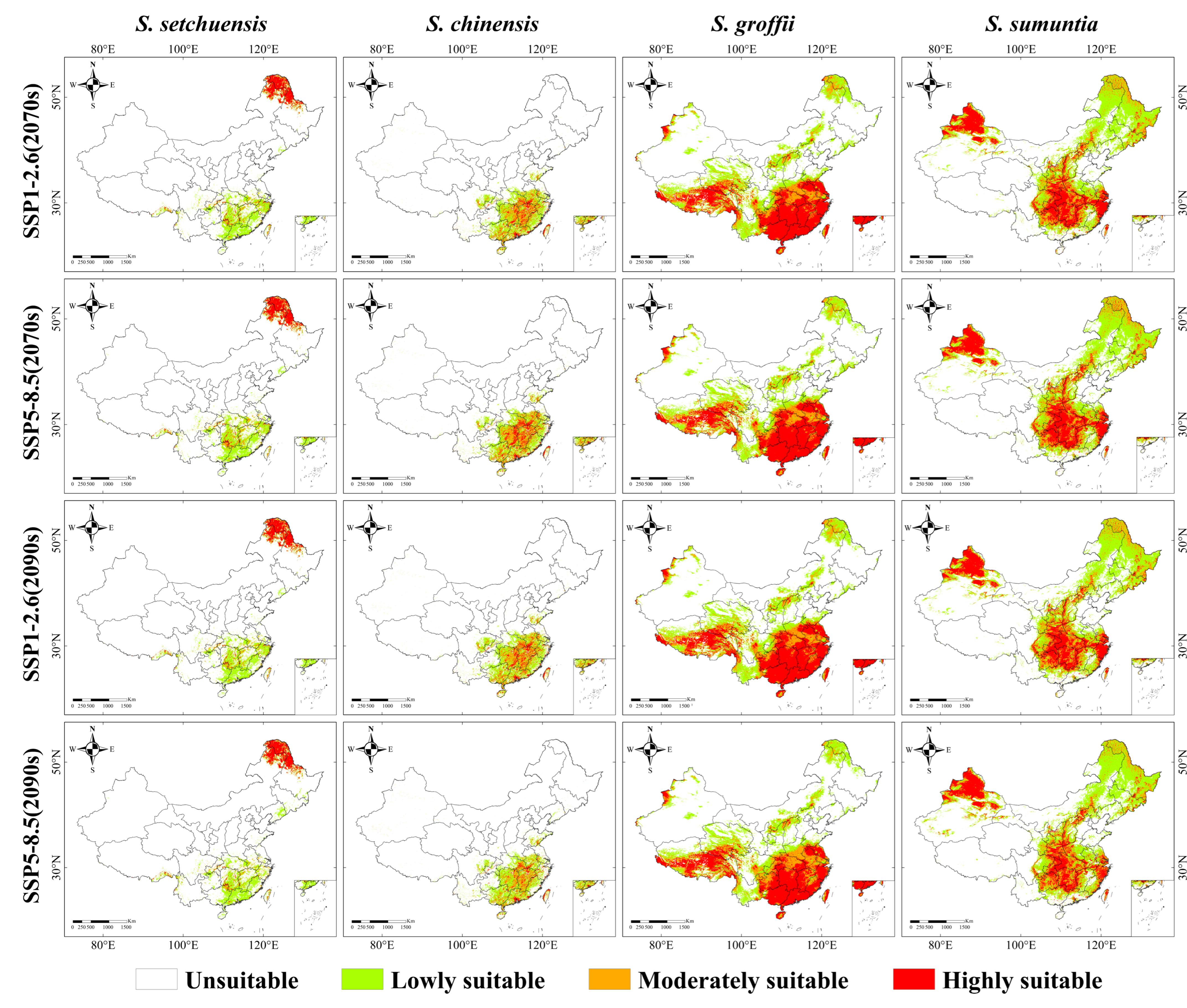 Plants 14 03200 g005