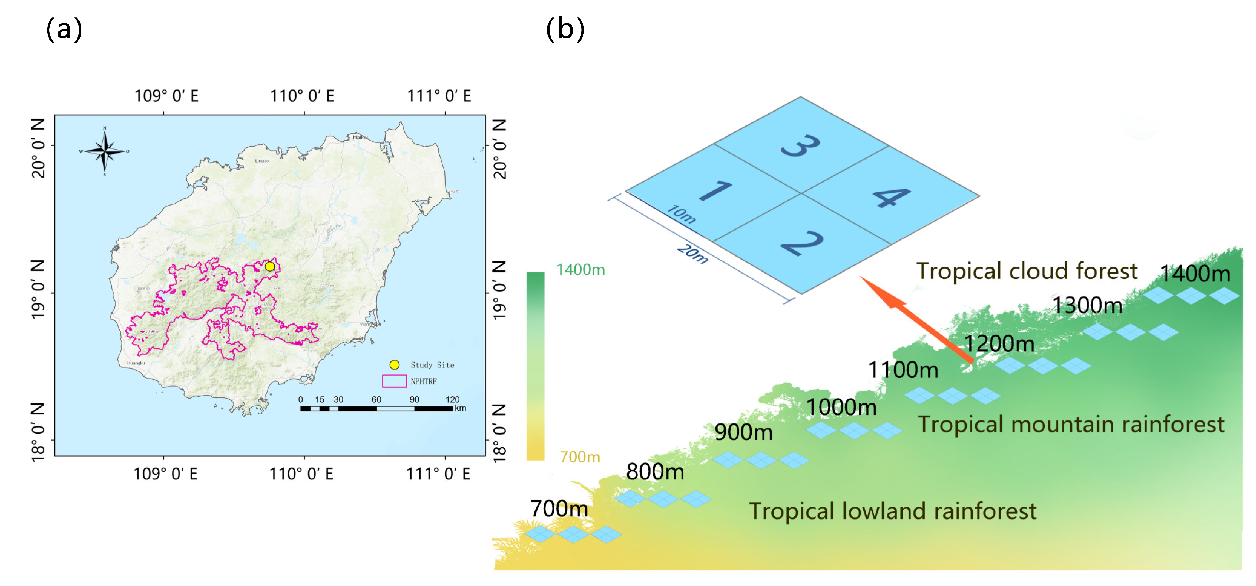 Plants 14 03209 g006 Plants 14 03209 g006
