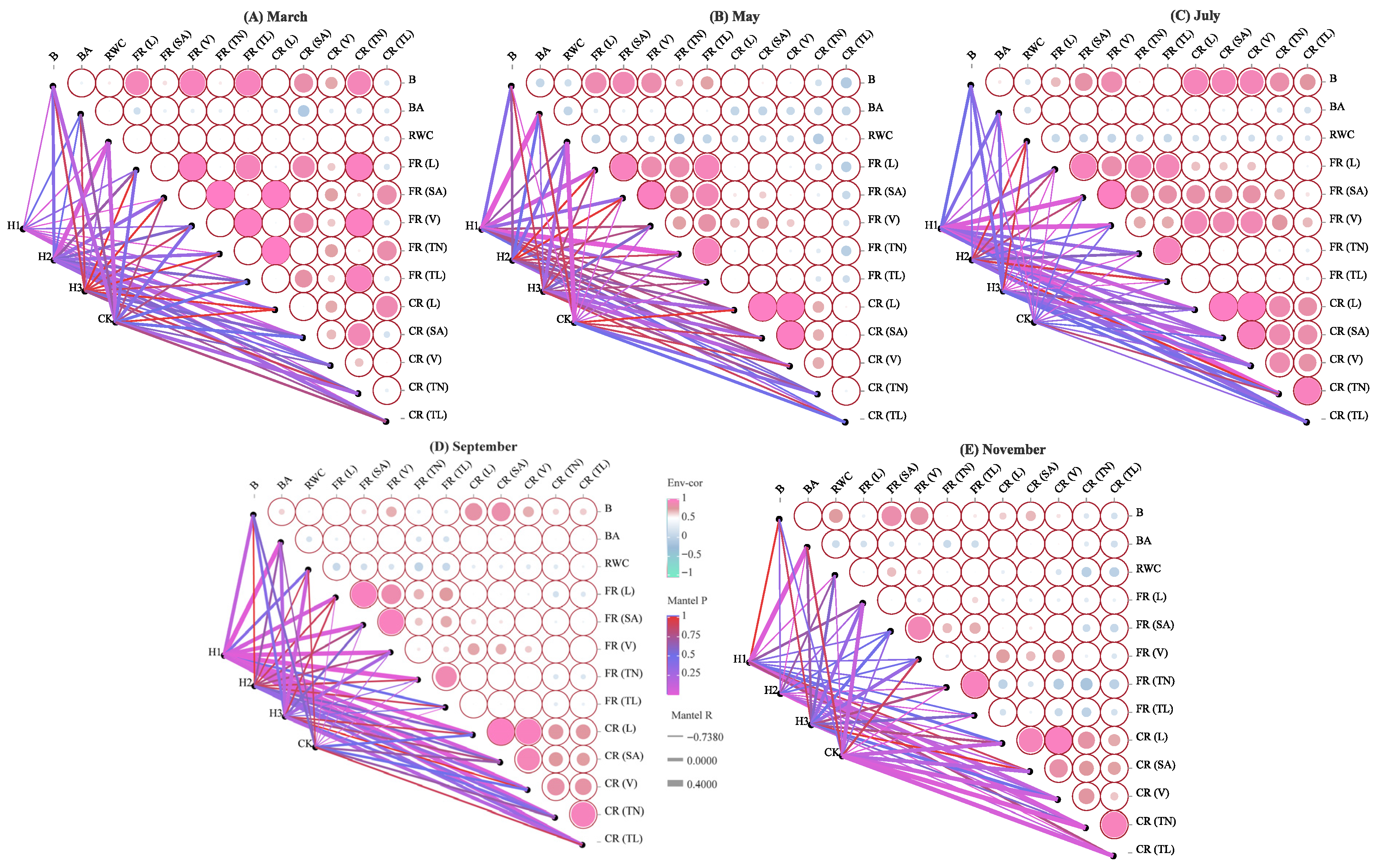 Plants 14 03210 g004 Plants 14 03210 g004