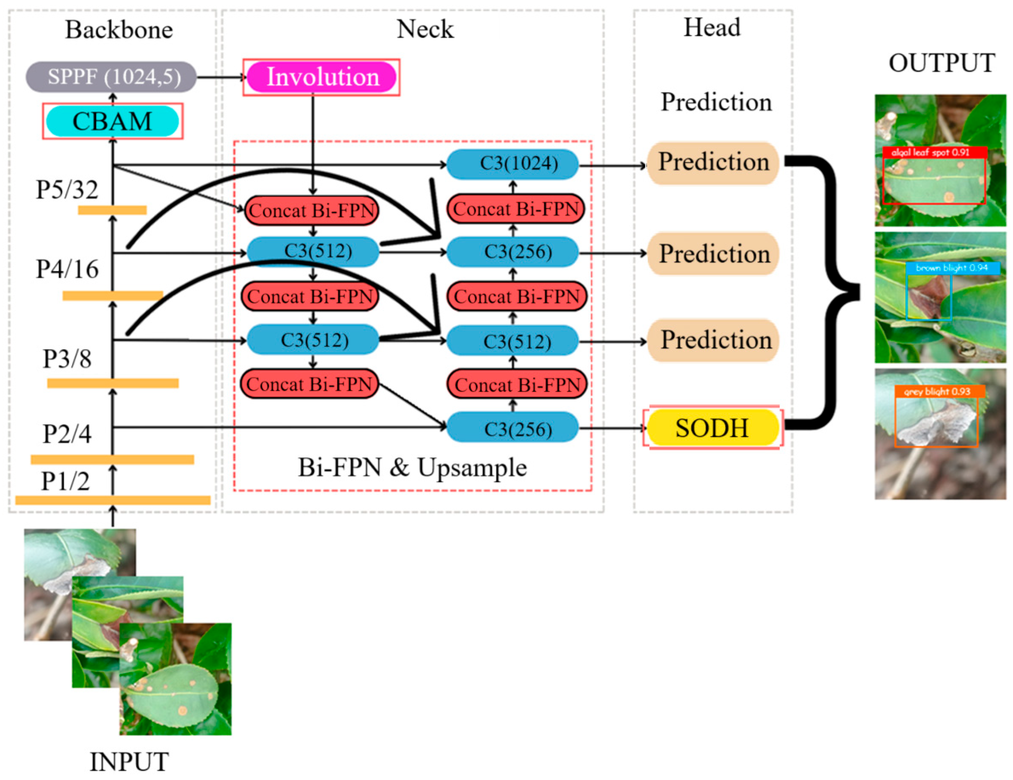 Plants 14 03219 g003 Plants 14 03219 g003