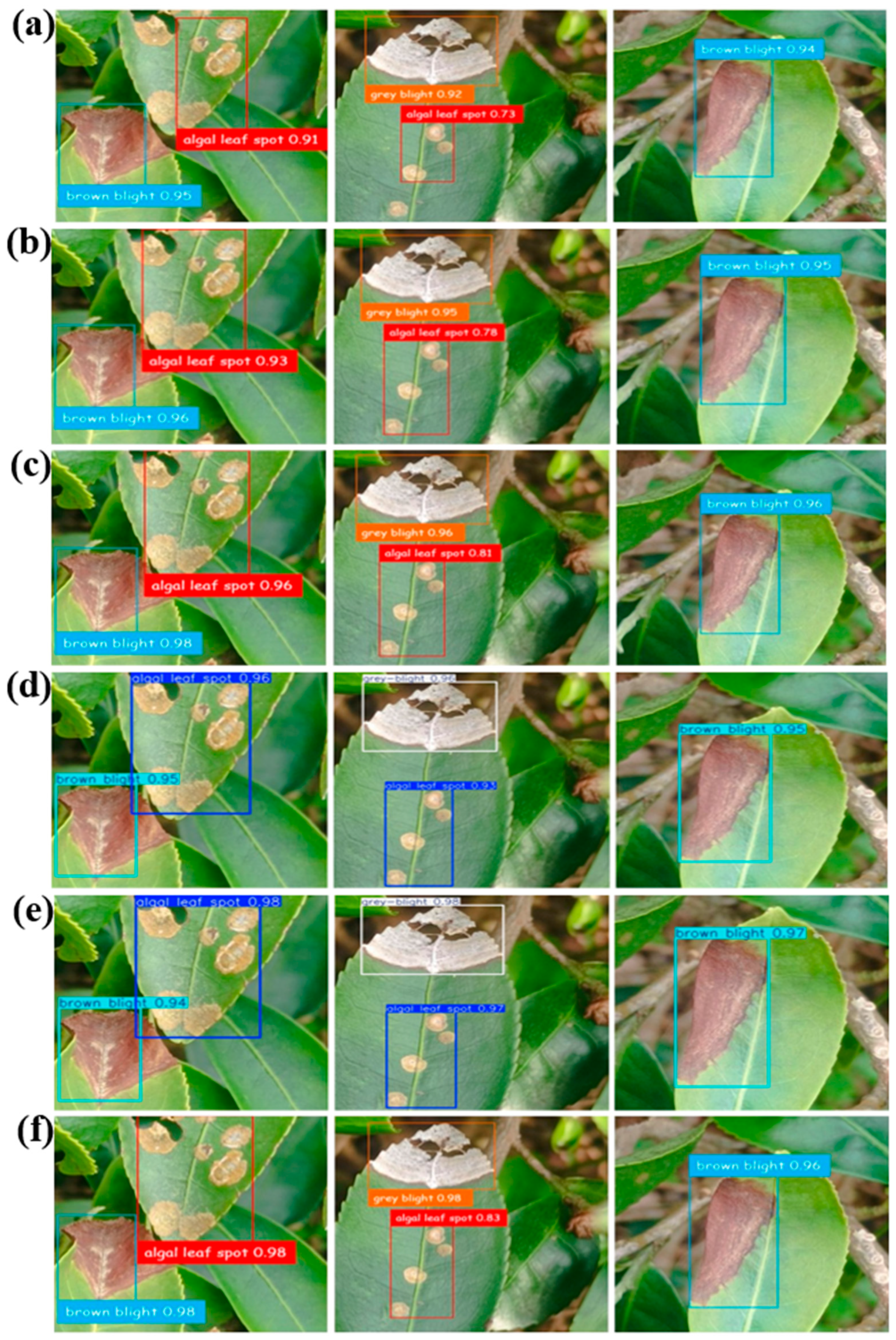 Plants 14 03219 g008 Plants 14 03219 g008