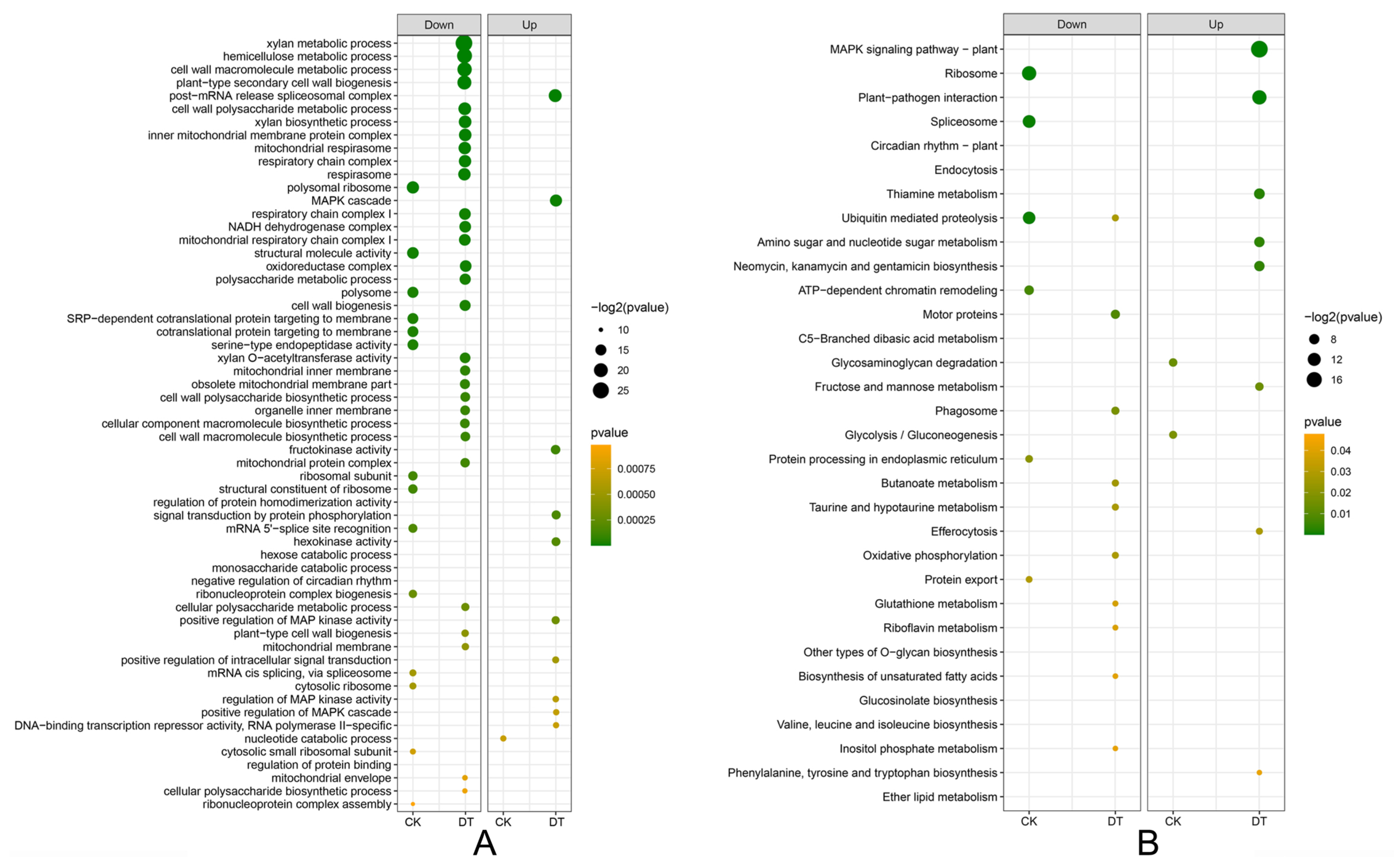 Plants 14 03222 g004