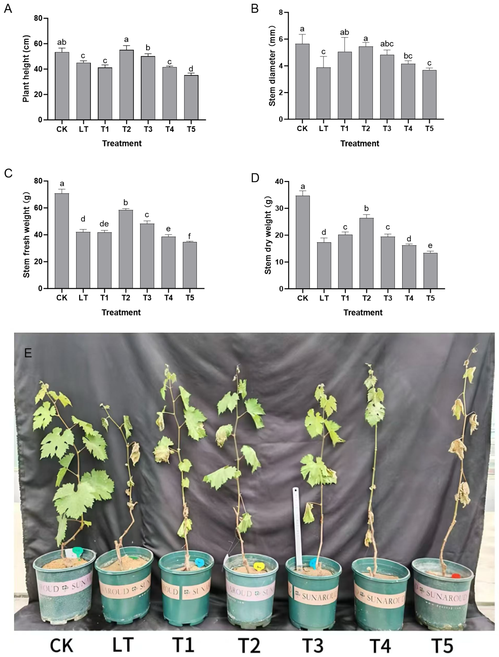 Plants 14 03225 g001