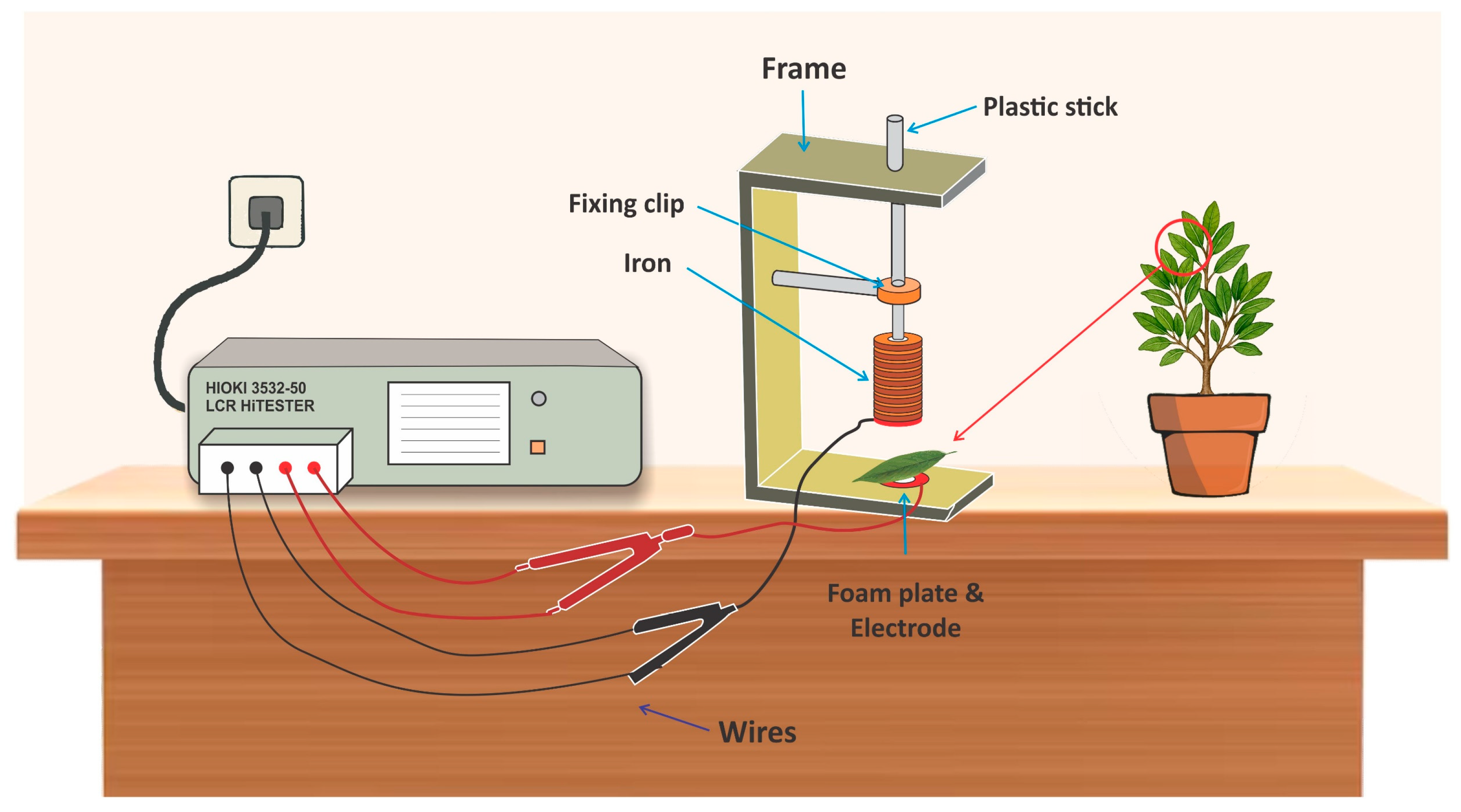 Plants 14 03228 g001