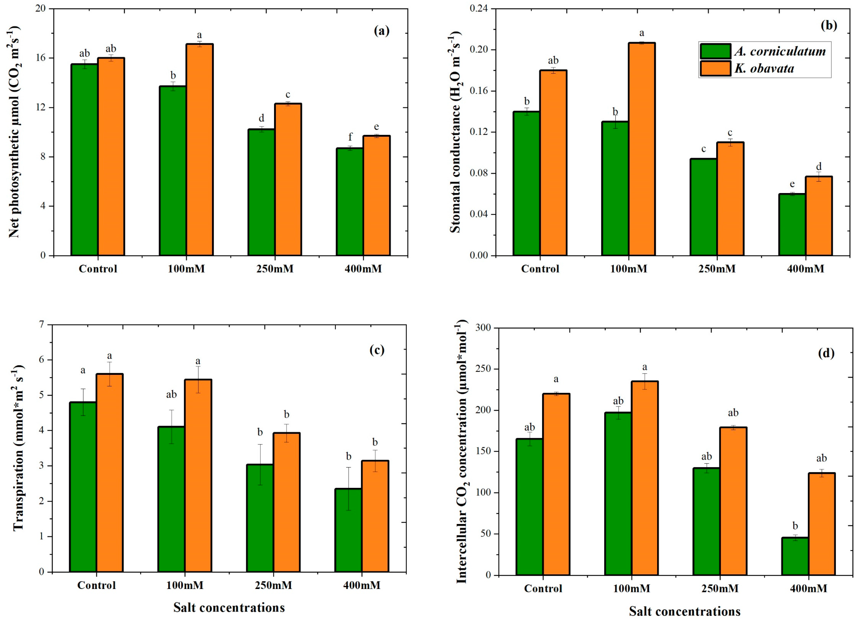 Plants 14 03228 g004