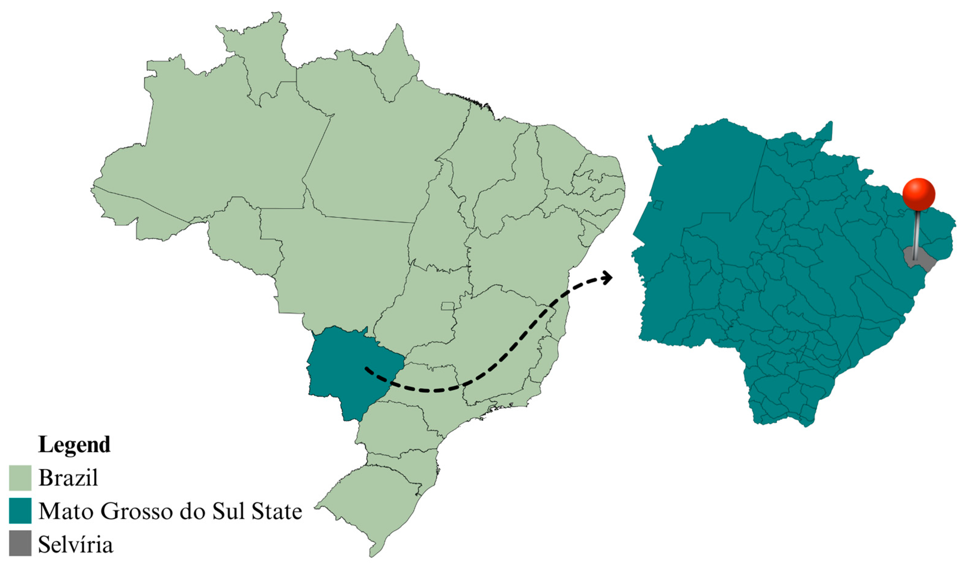 Plants 14 03230 g006