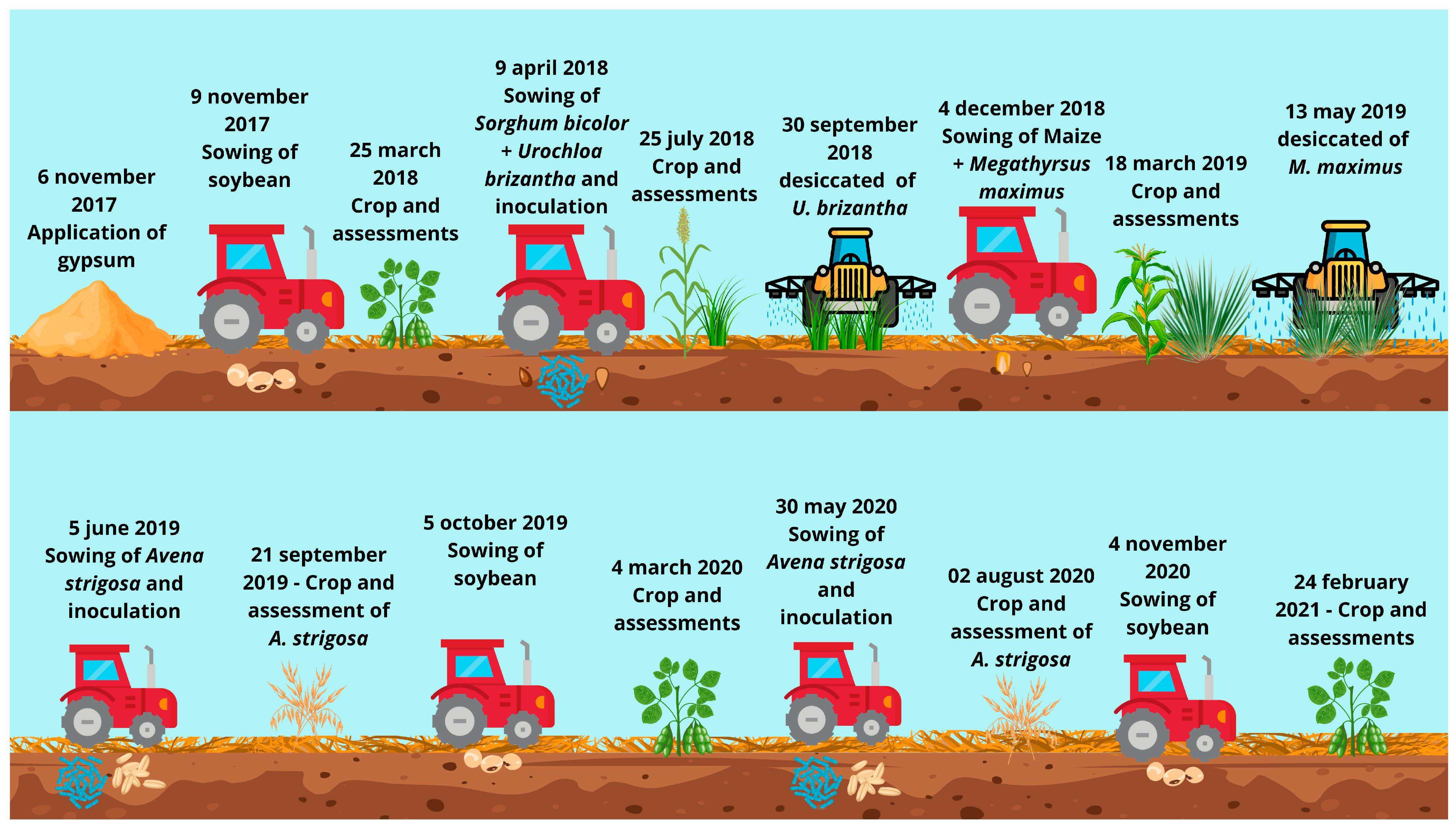 Plants 14 03230 g008