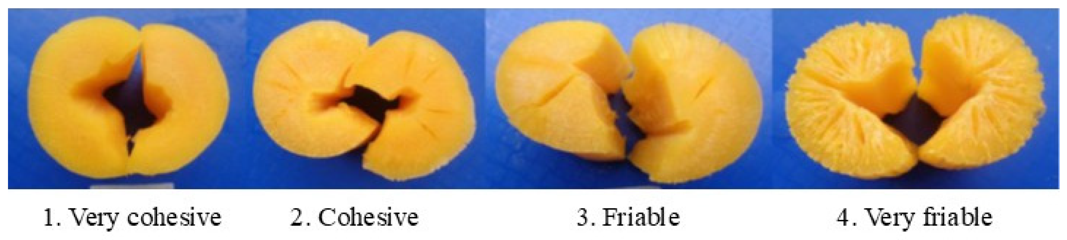 Plants 14 03238 g002 Plants 14 03238 g002