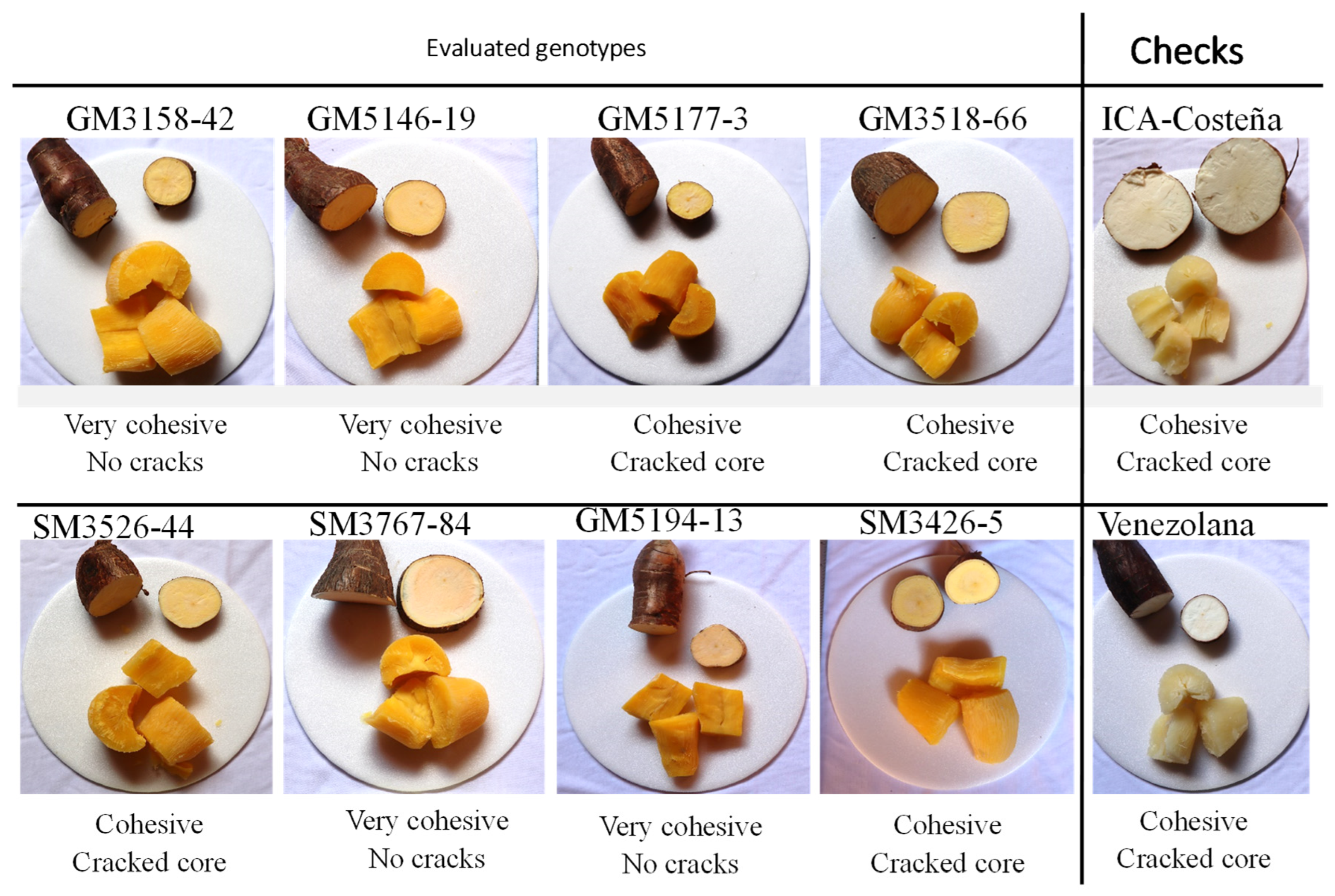 Plants 14 03238 g010 Plants 14 03238 g010