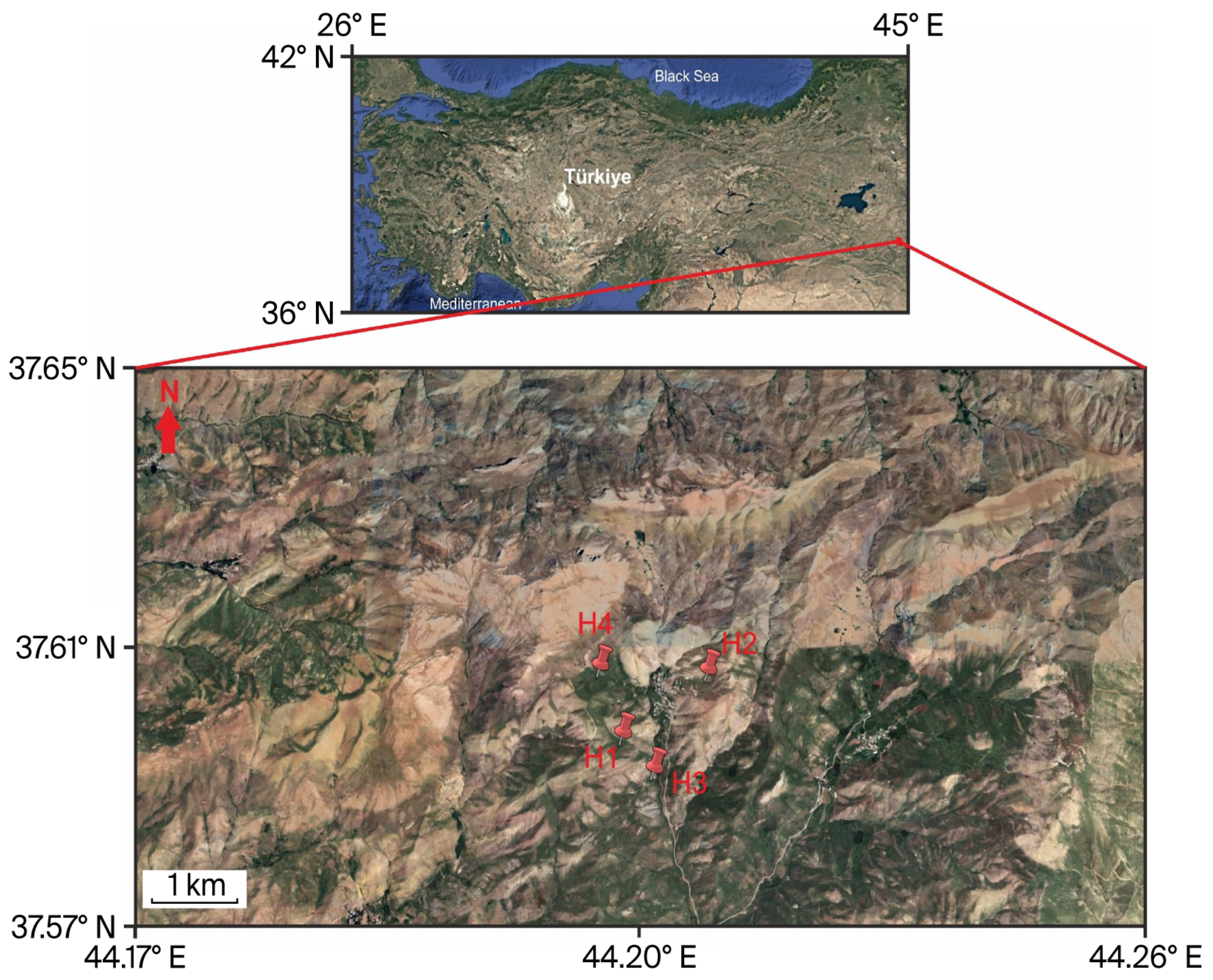 Plants 14 03243 g001