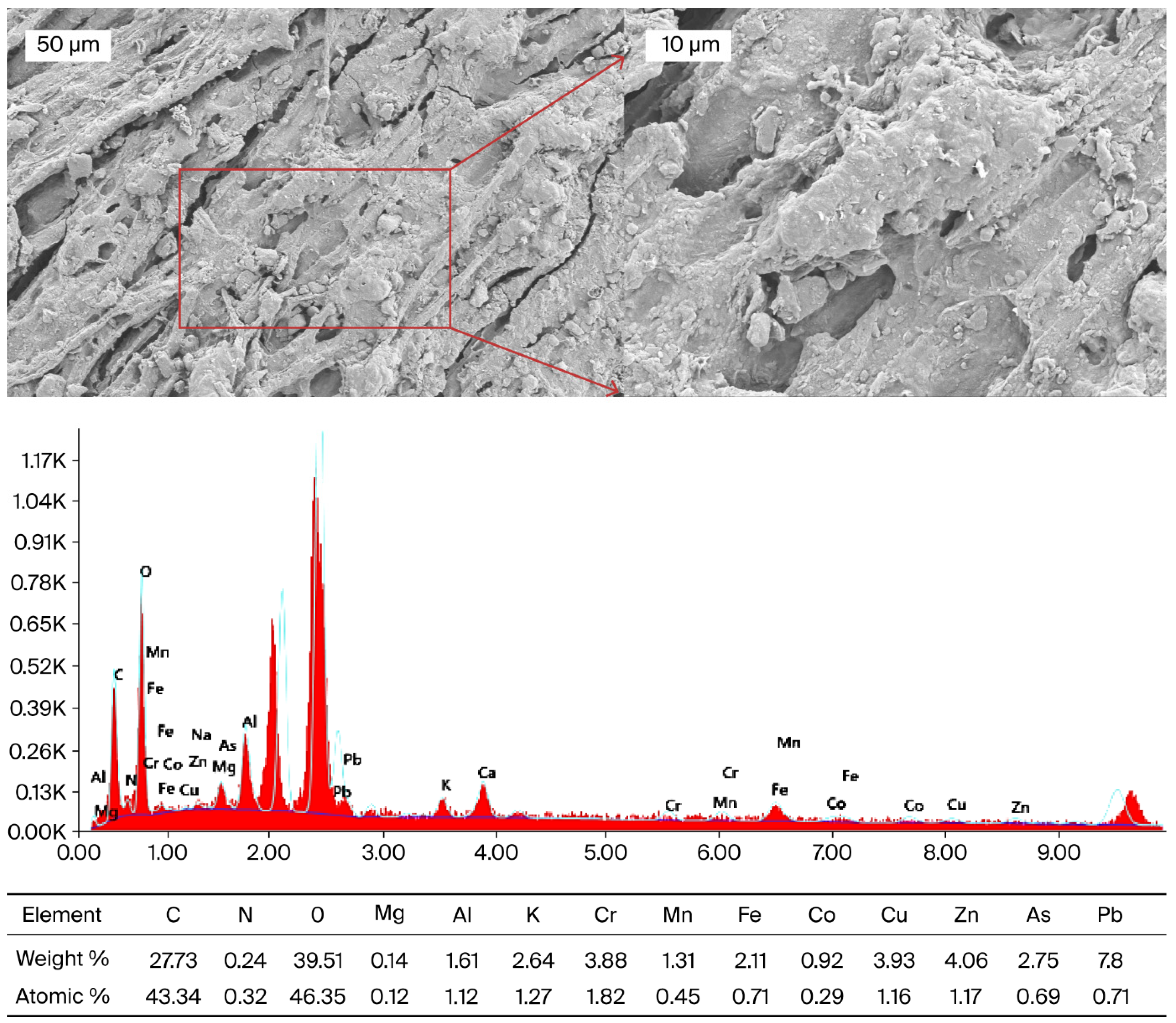Plants 14 03243 g005
