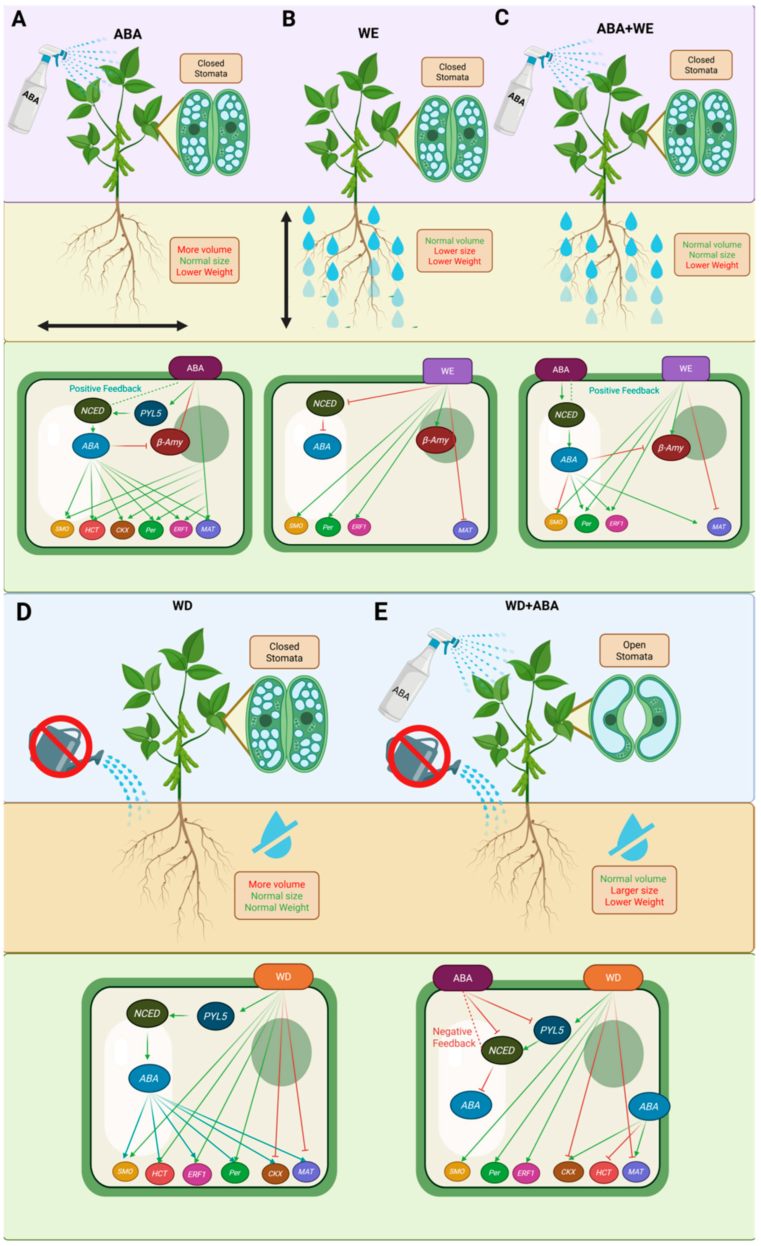 Plants 14 03245 g008