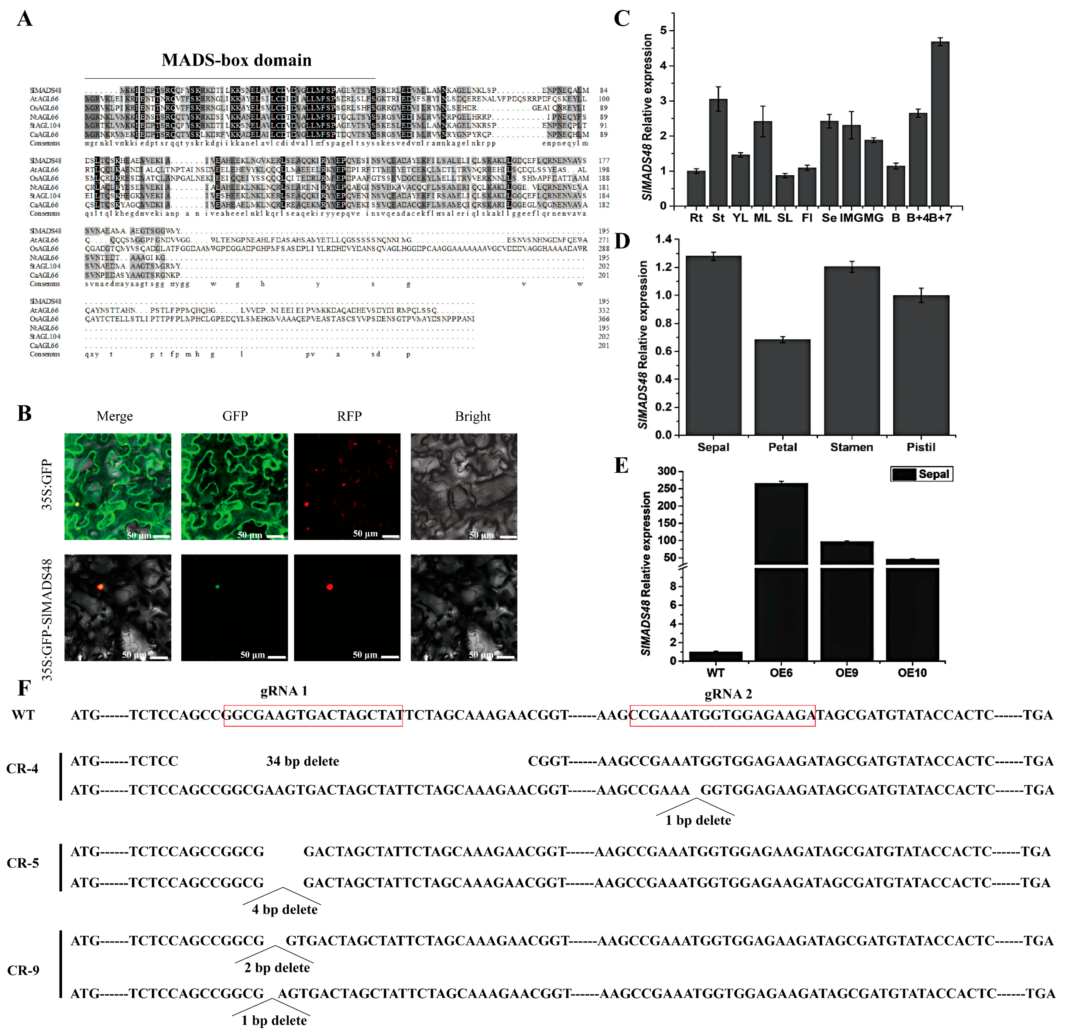 Plants 14 03259 g001 Plants 14 03259 g001