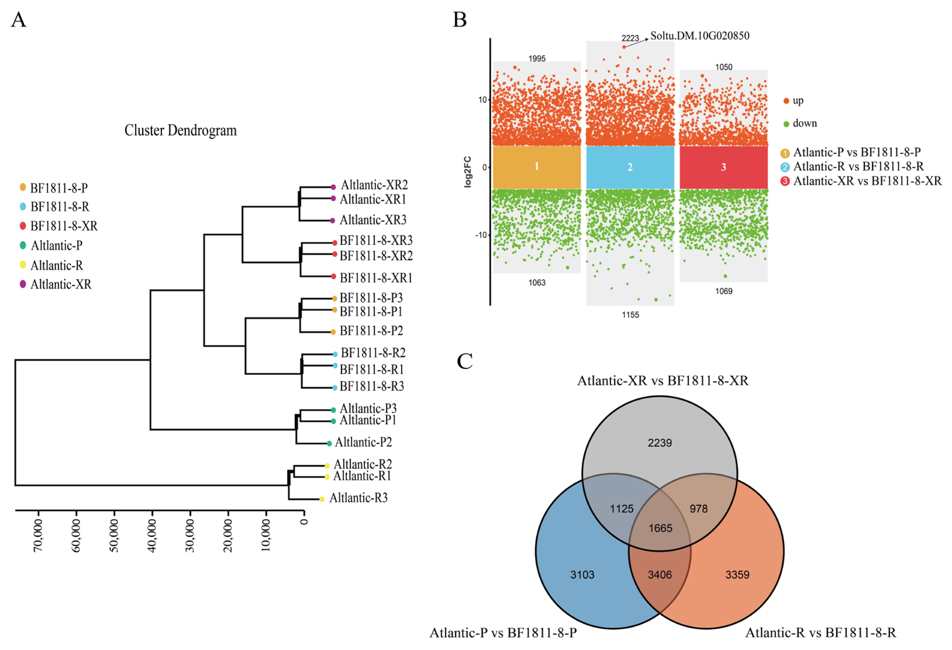 Plants 14 03260 g002 Plants 14 03260 g002