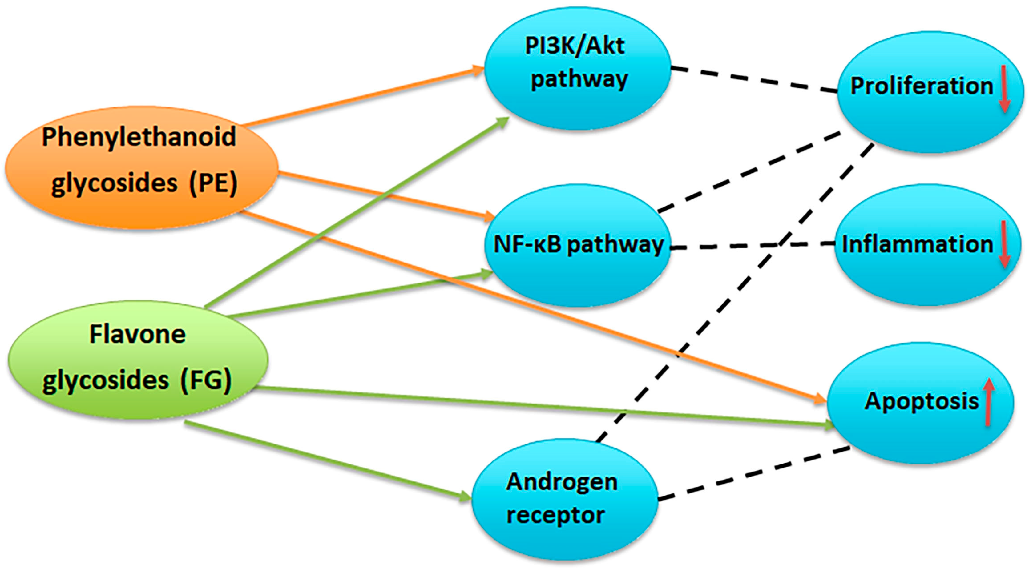 Plants 14 03263 g012