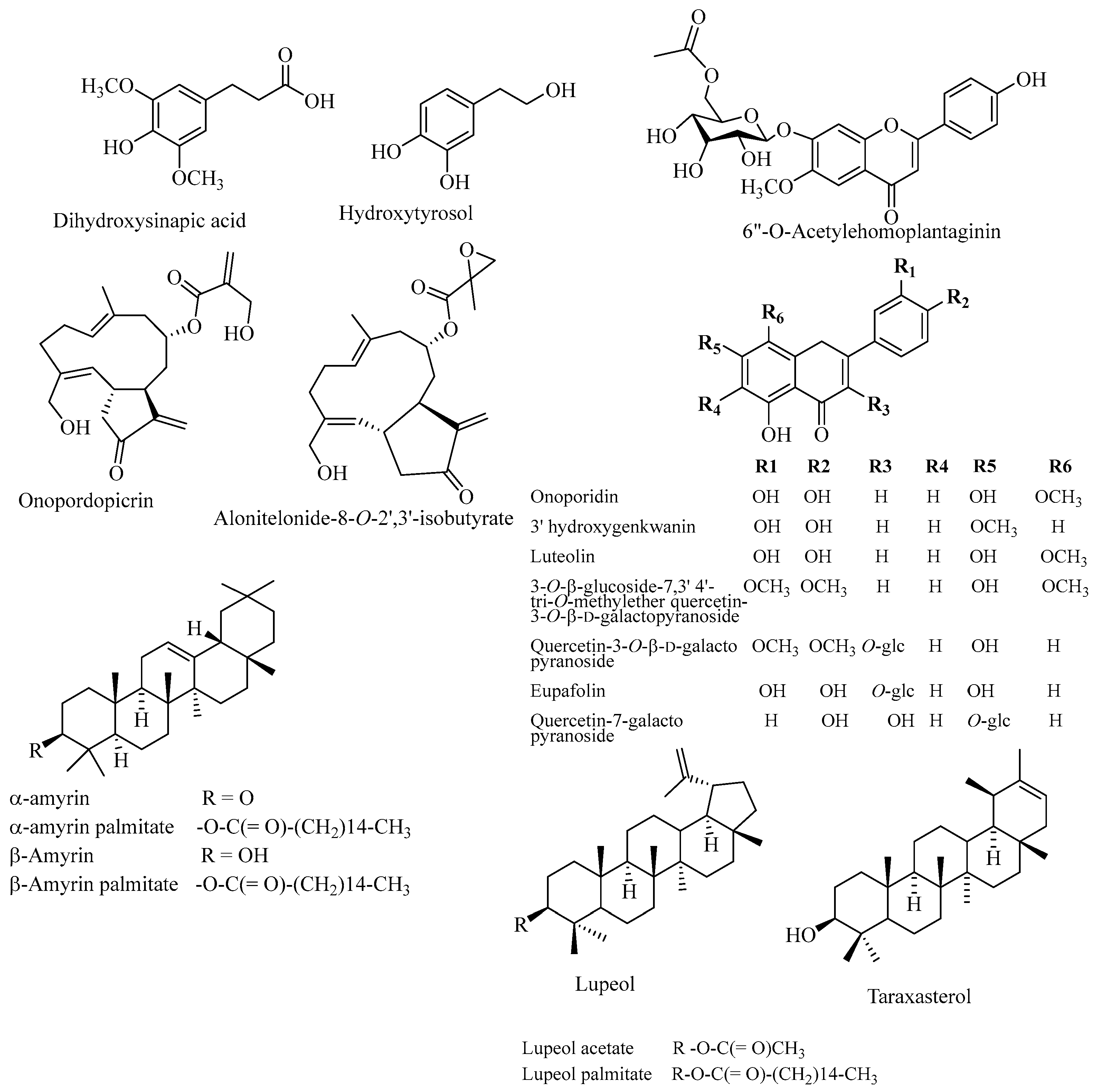 Plants 14 03267 g004 Plants 14 03267 g004