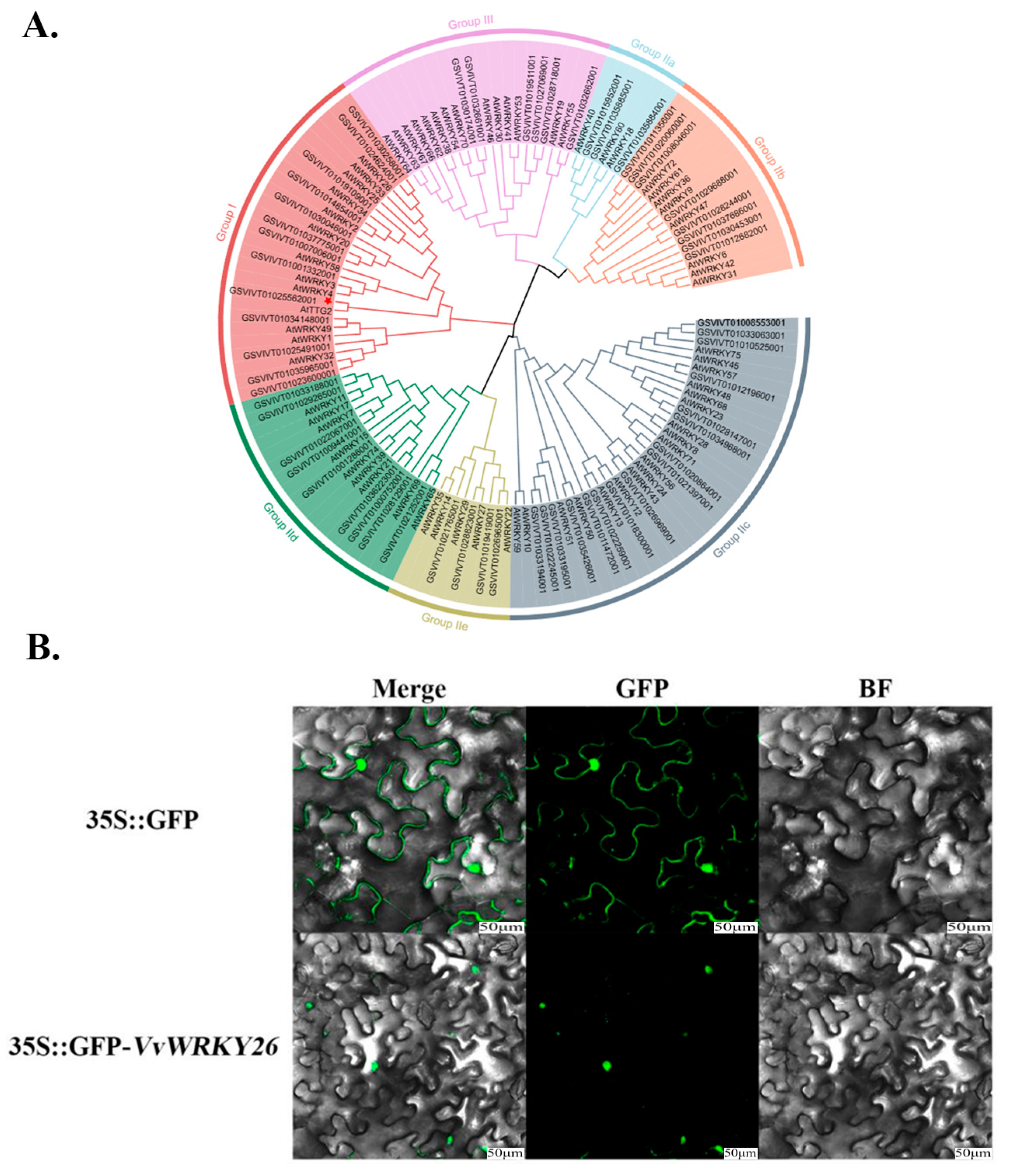 Plants 14 03272 g001 Plants 14 03272 g001