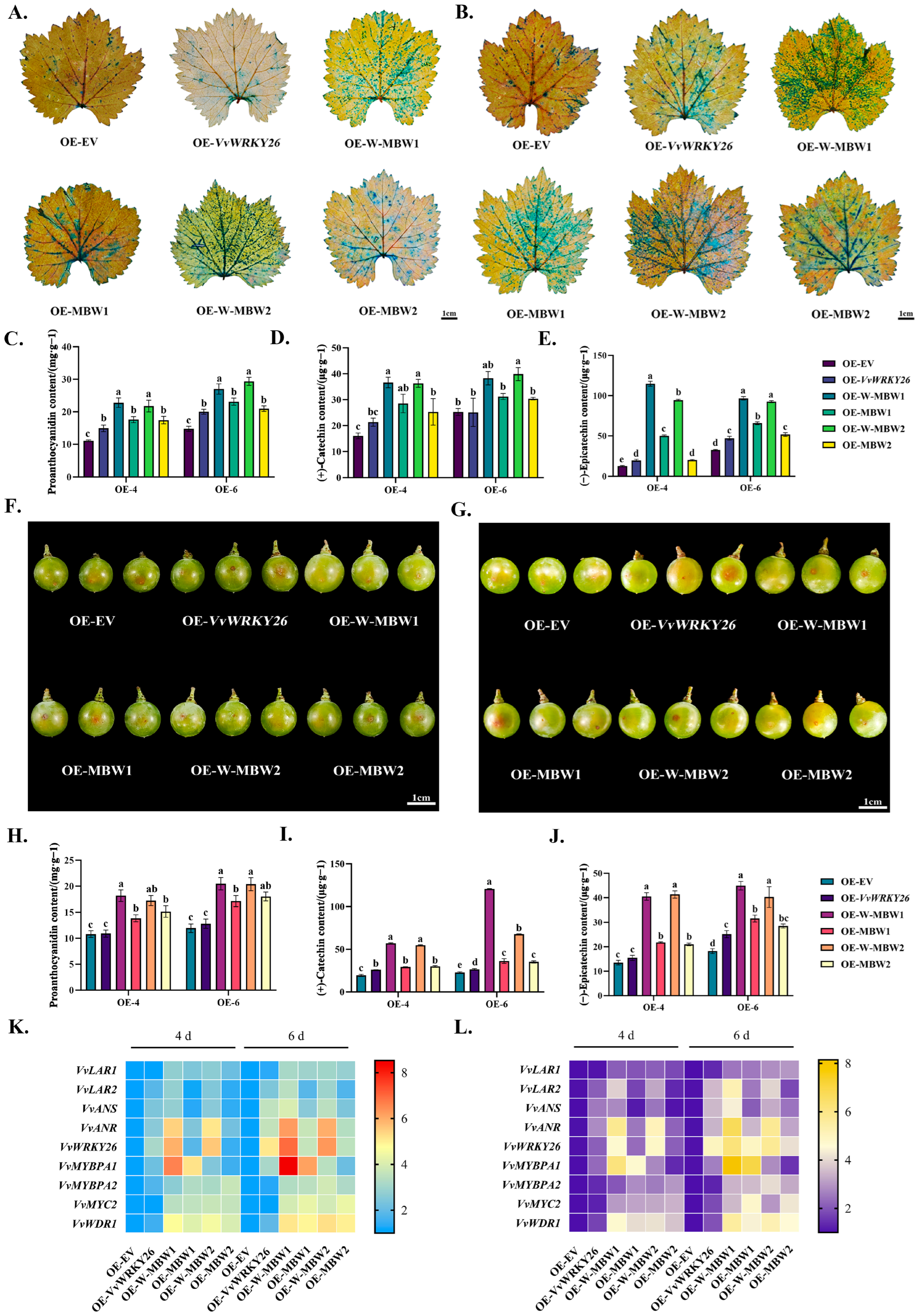 Plants 14 03272 g005 Plants 14 03272 g005
