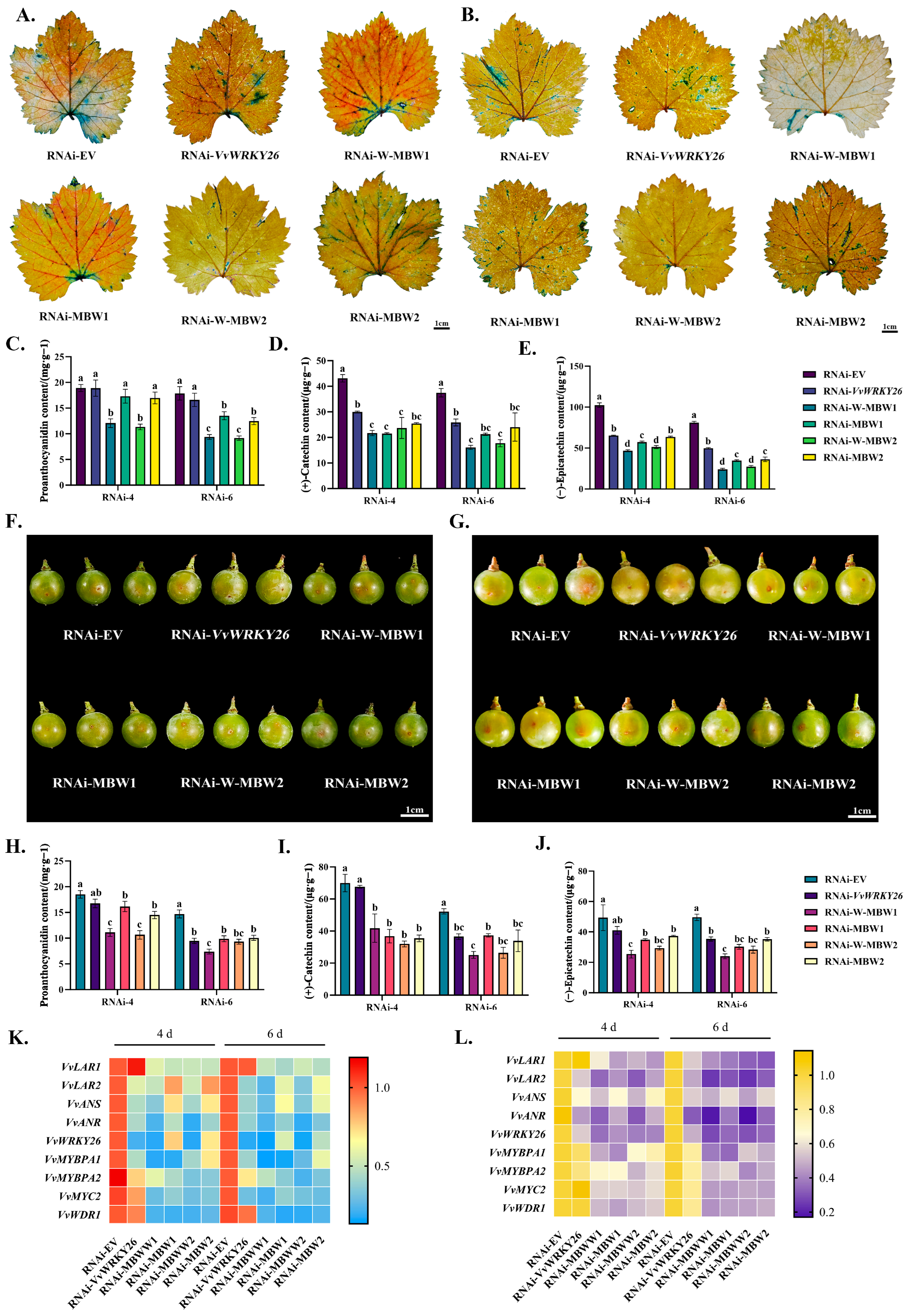 Plants 14 03272 g006 Plants 14 03272 g006