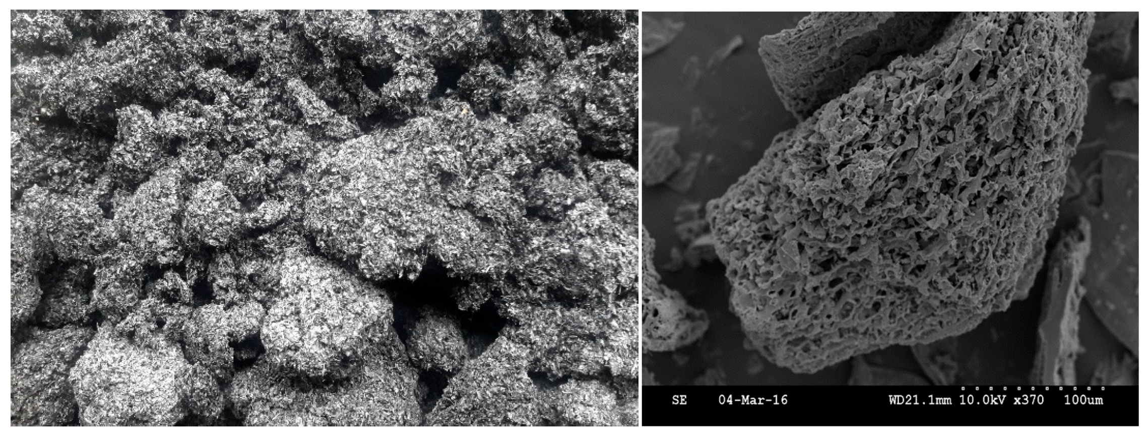 Plants 14 03273 g001 Plants 14 03273 g001