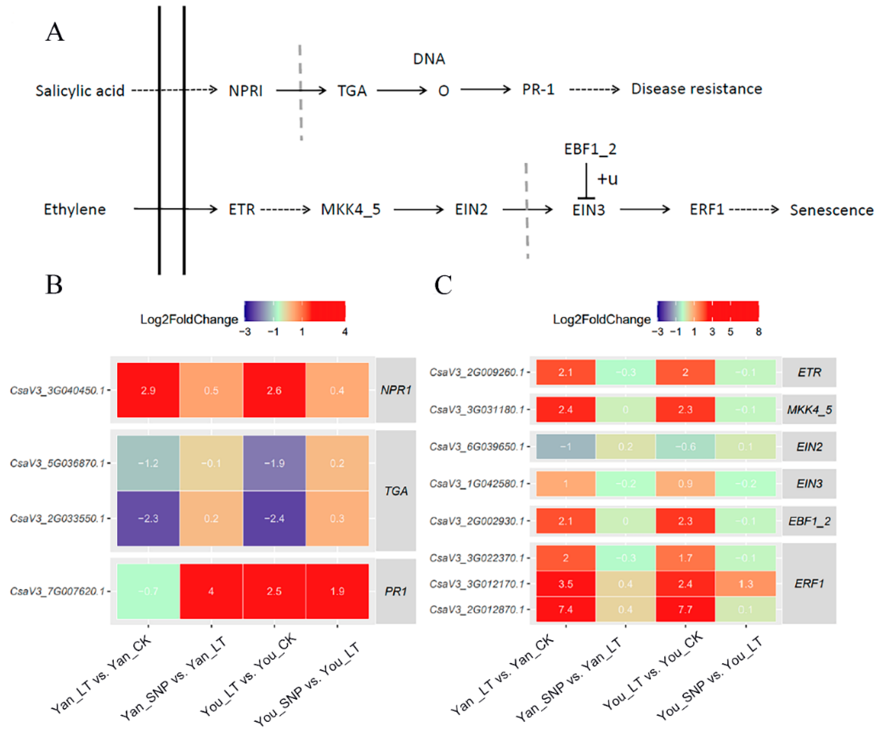 Plants 14 03275 g001 Plants 14 03275 g001