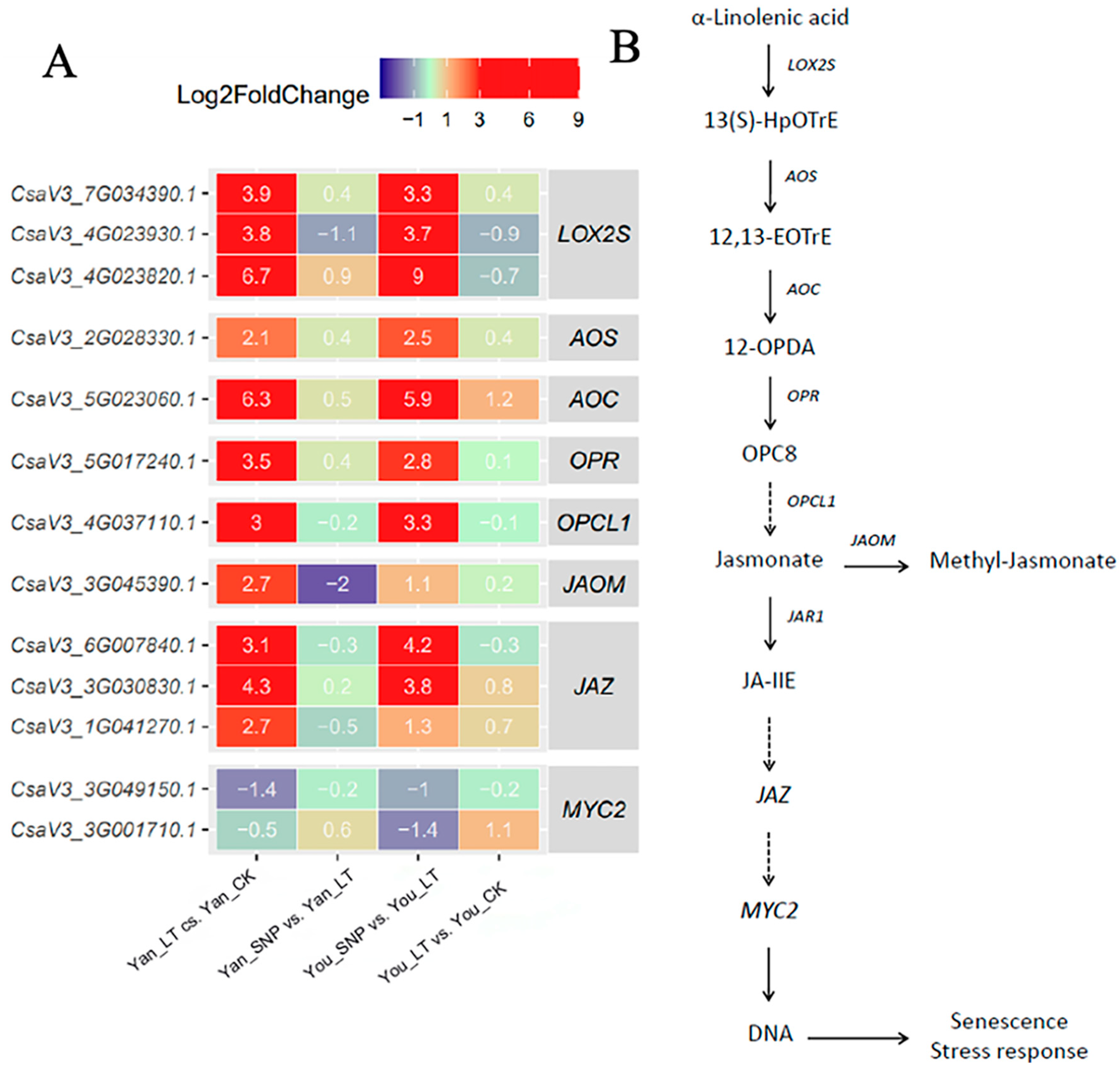 Plants 14 03275 g002 Plants 14 03275 g002