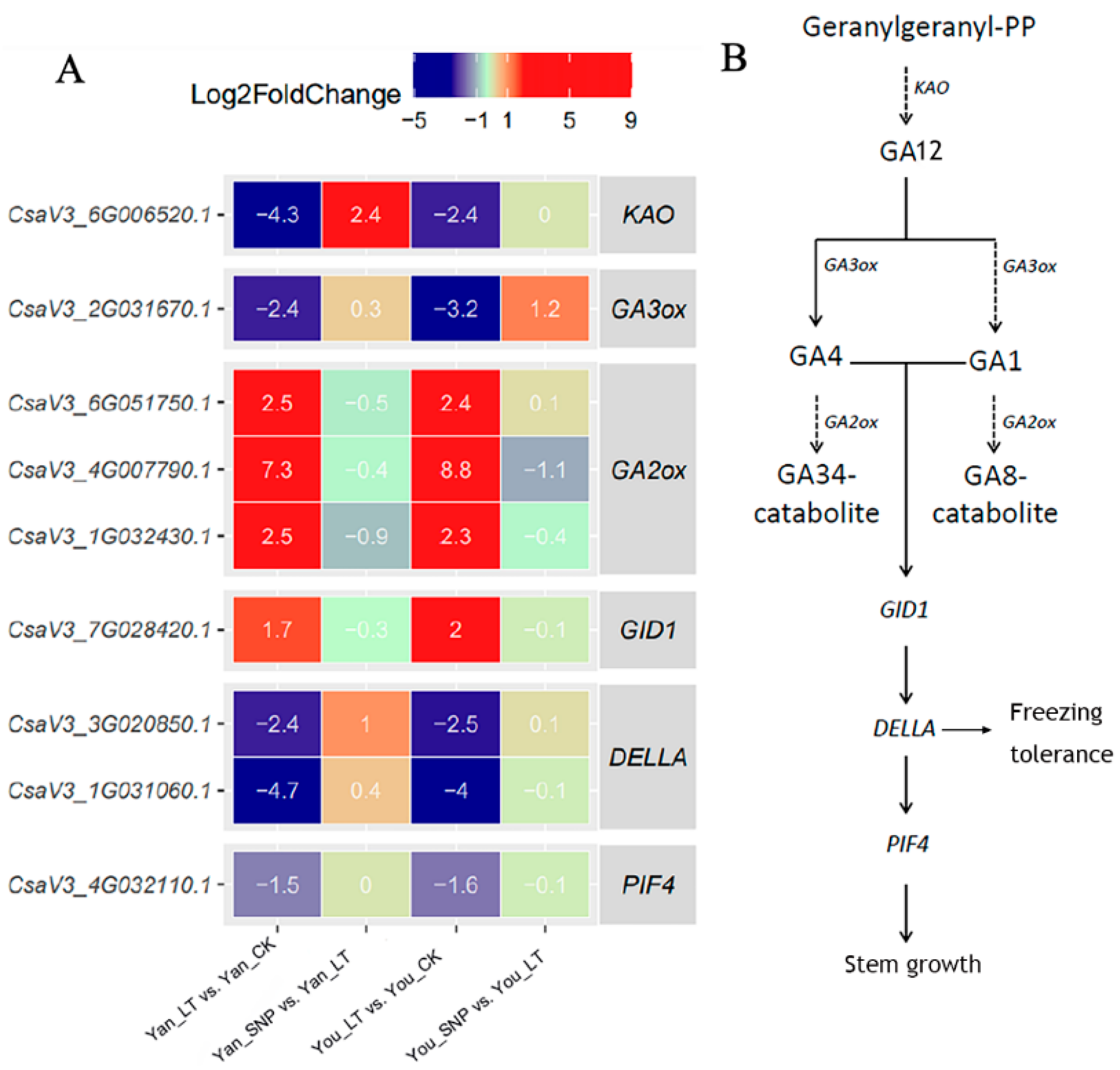 Plants 14 03275 g003 Plants 14 03275 g003
