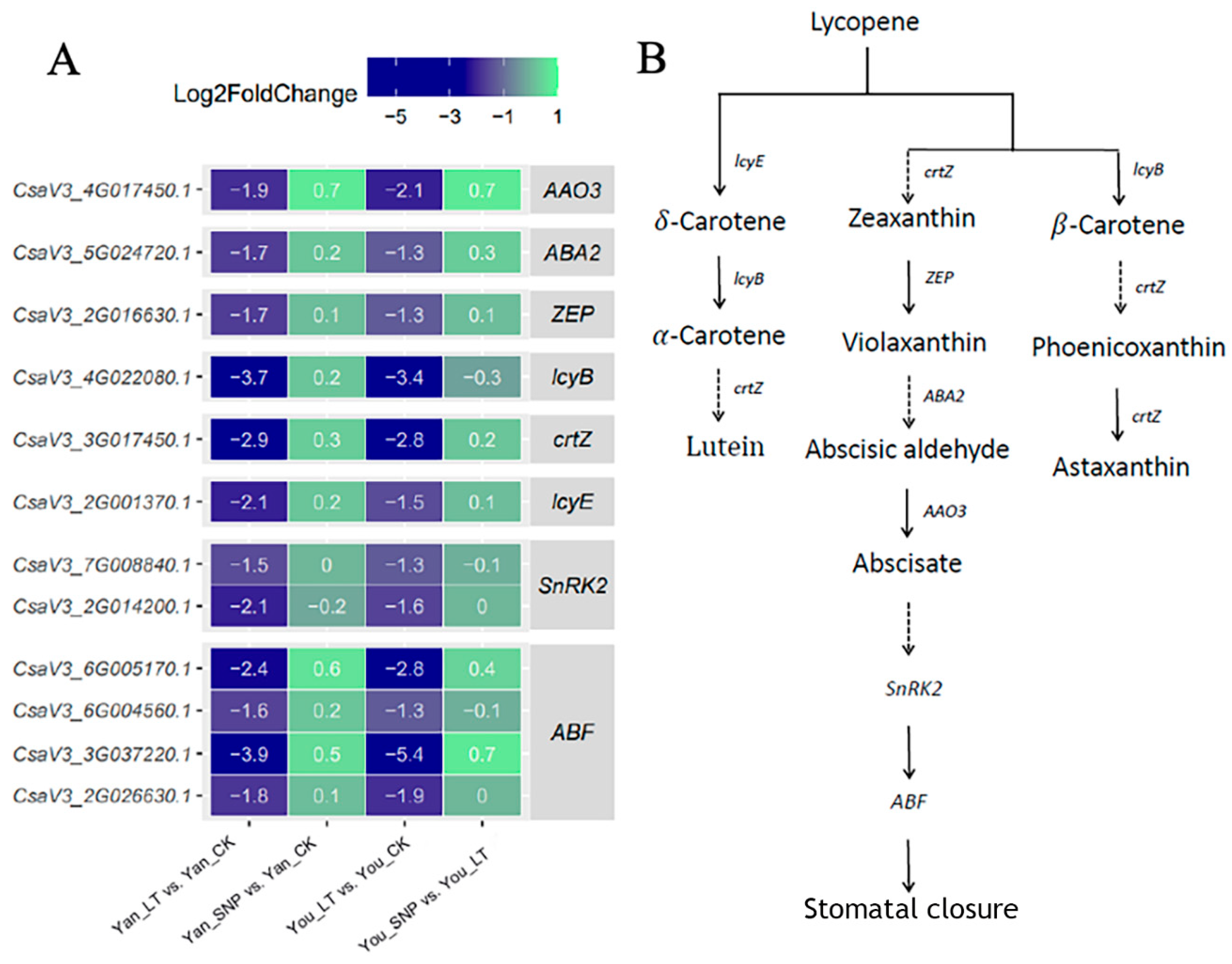 Plants 14 03275 g004 Plants 14 03275 g004
