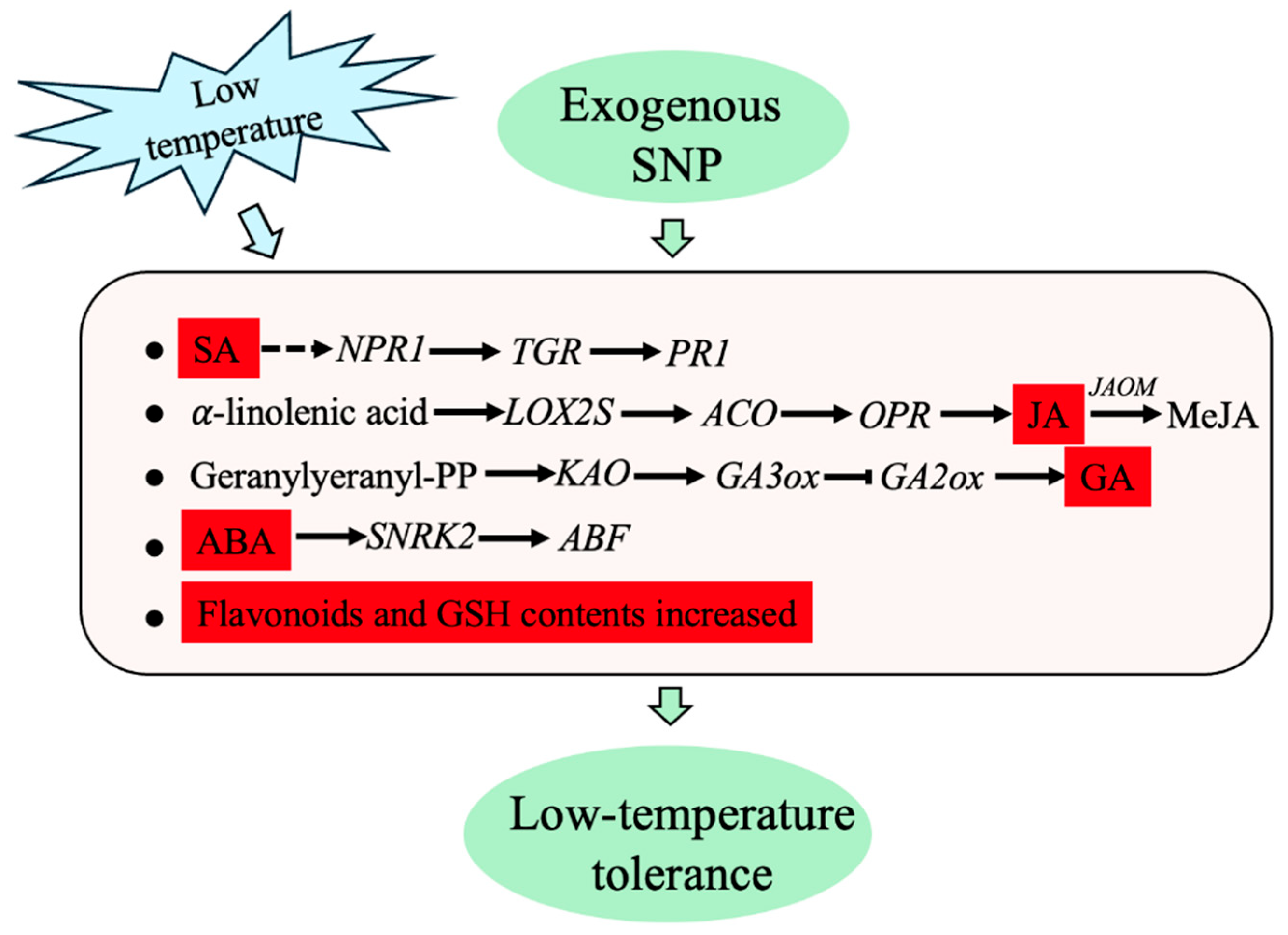 Plants 14 03275 g009 Plants 14 03275 g009