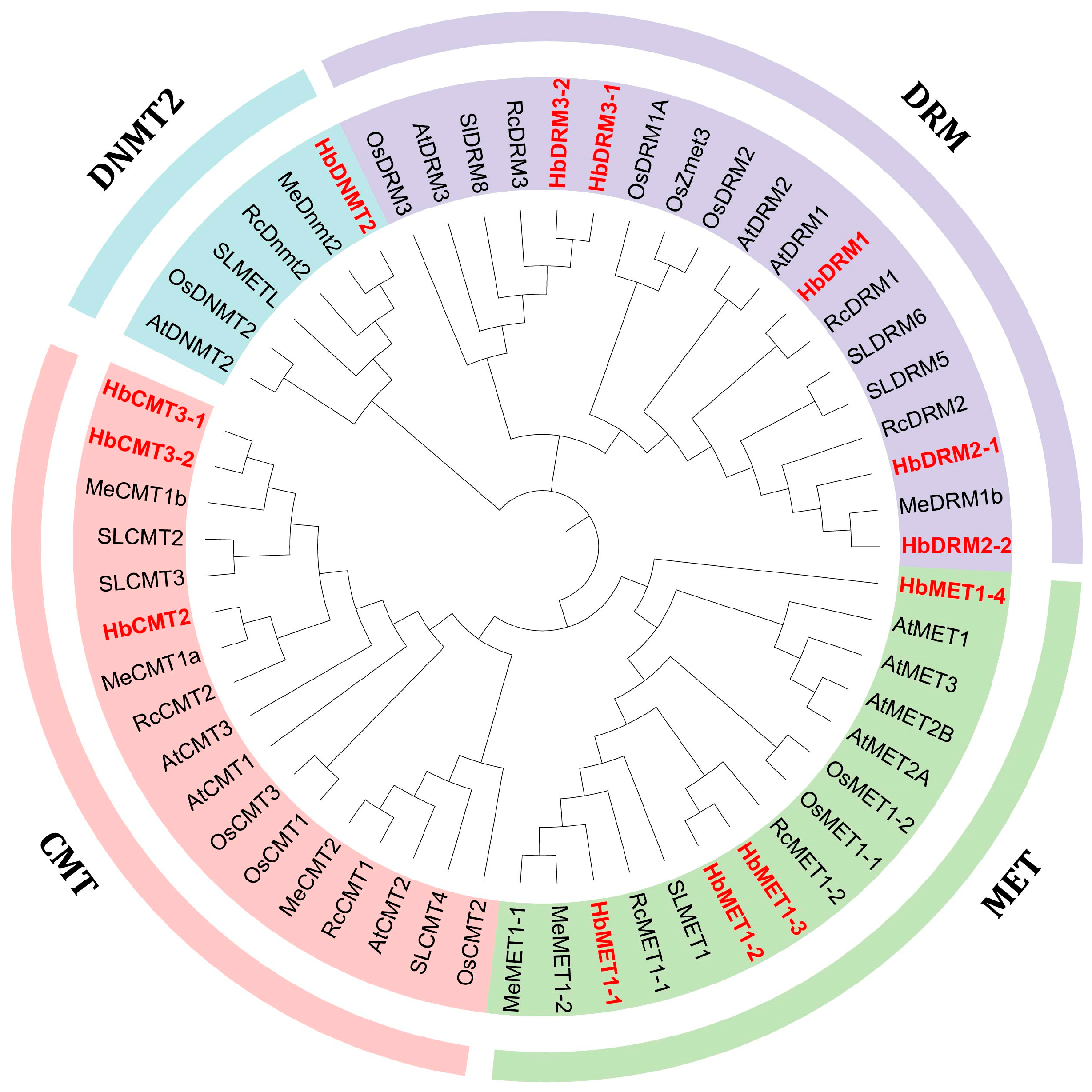 Plants 14 03284 g001 Plants 14 03284 g001