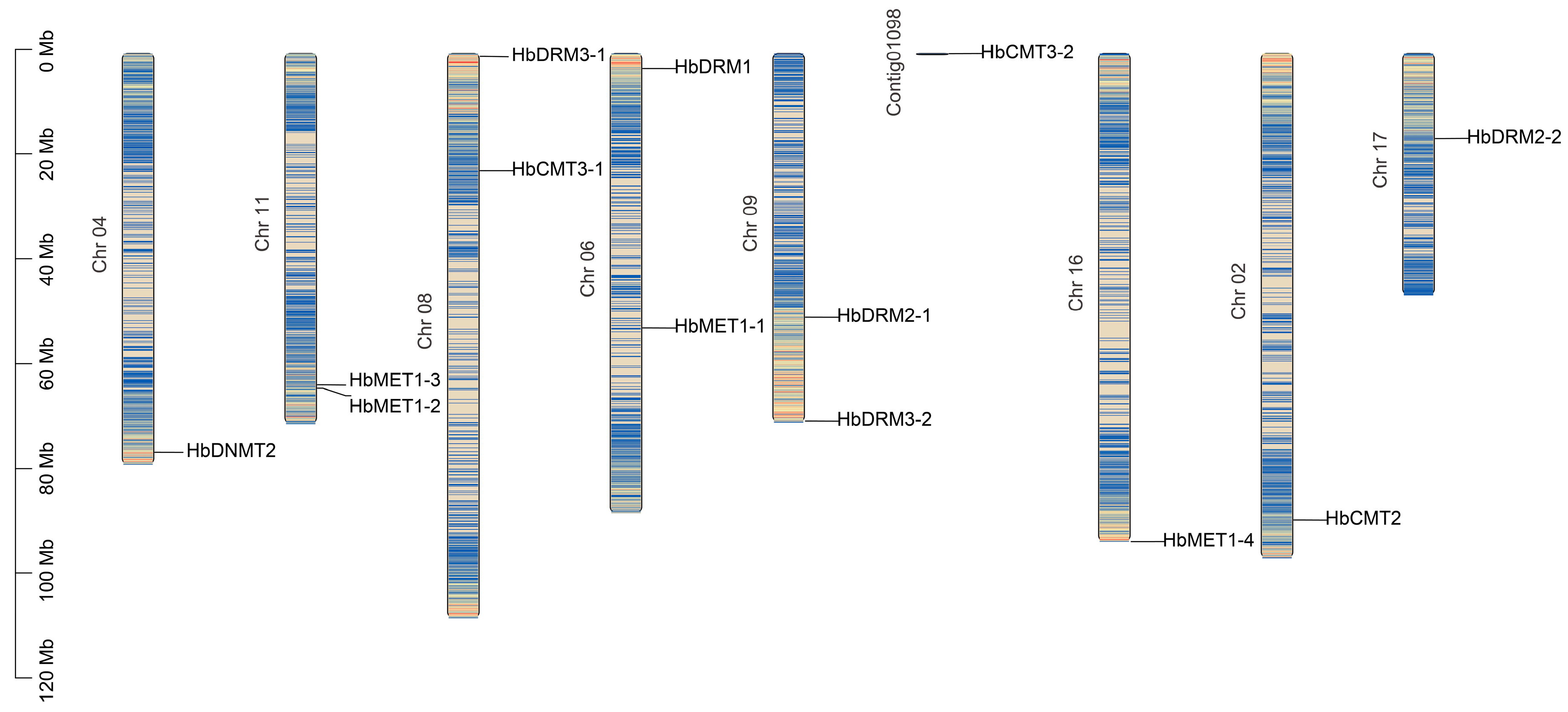 Plants 14 03284 g003 Plants 14 03284 g003