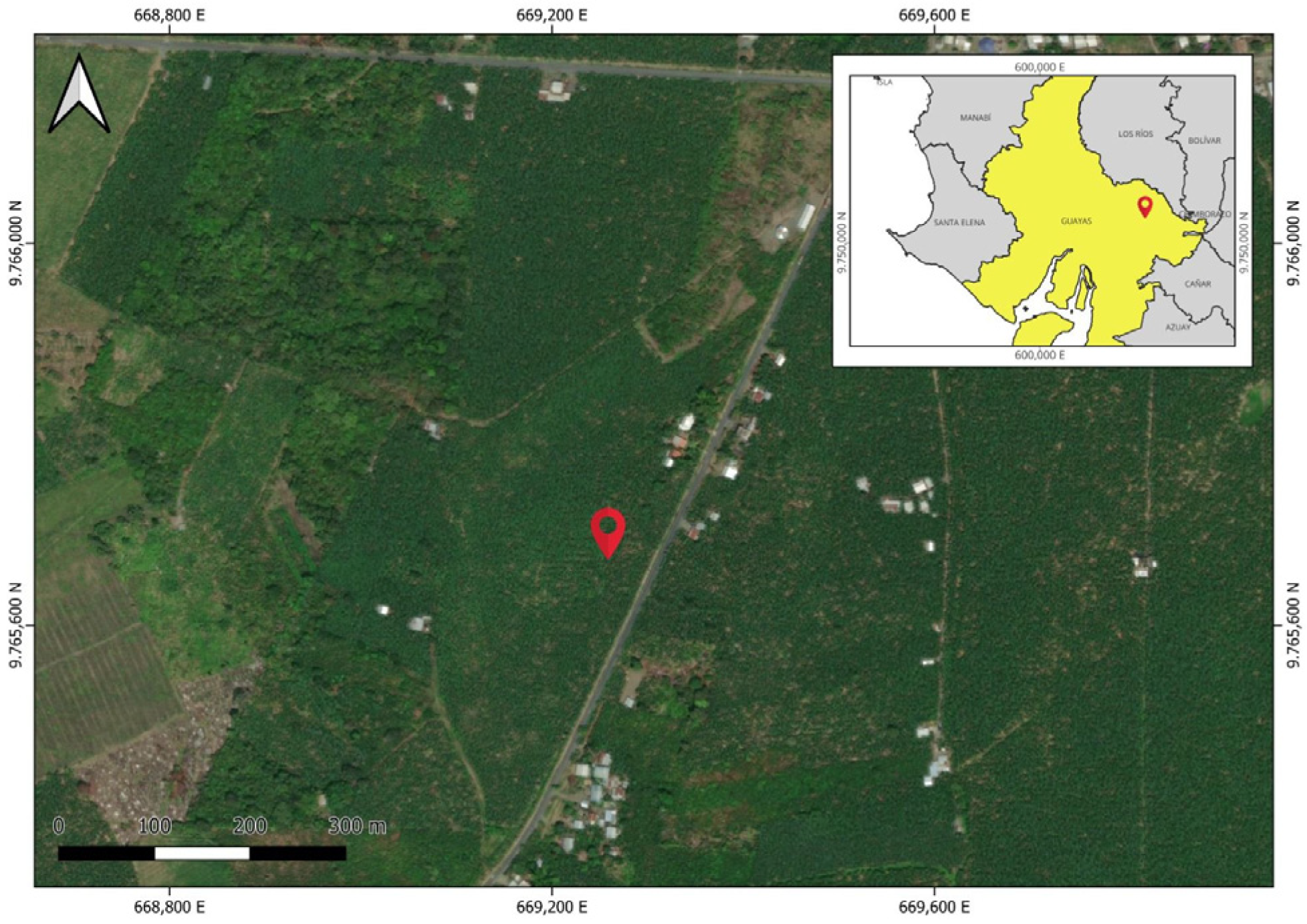 Plants 14 03287 g004 Plants 14 03287 g004