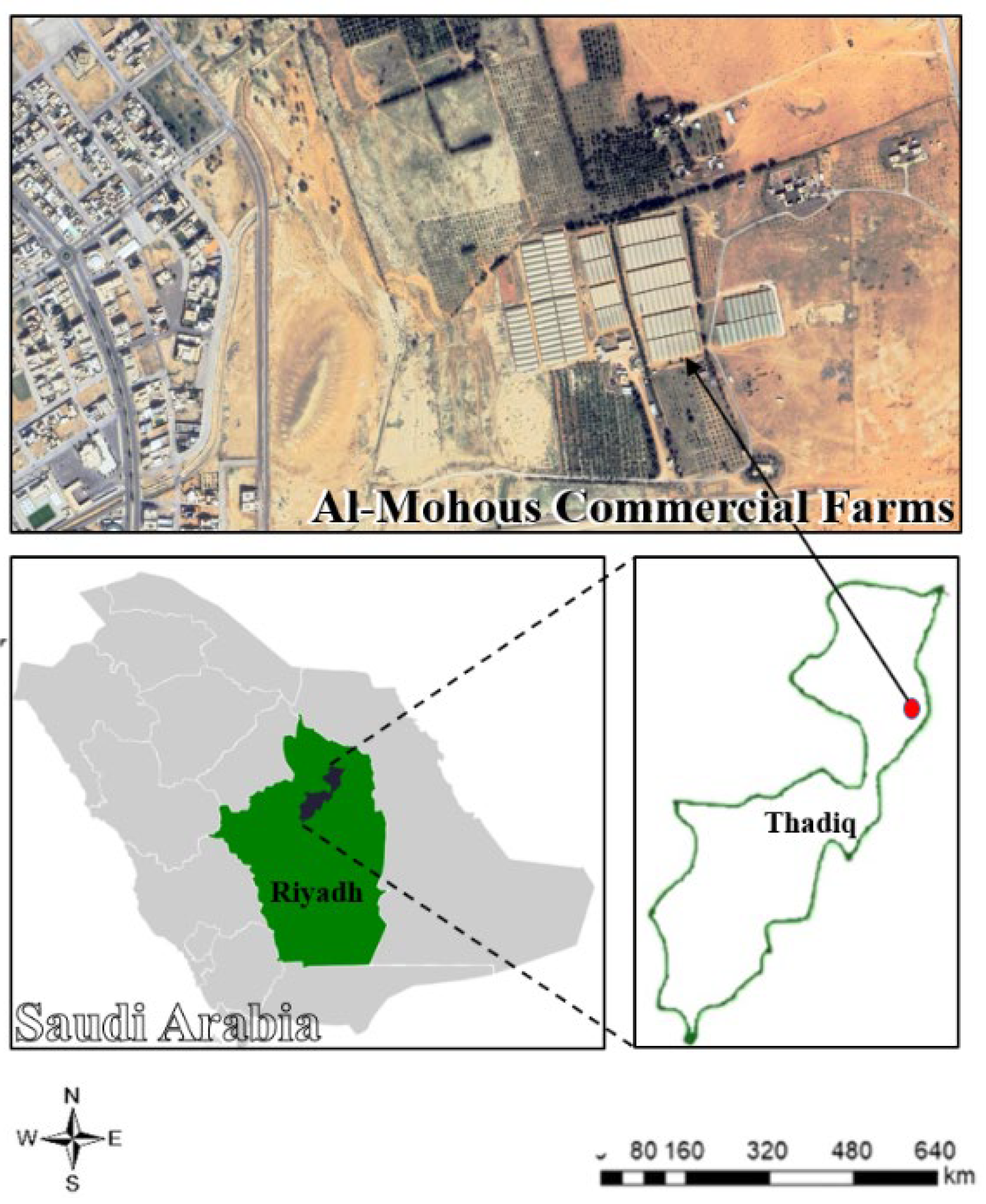 Plants 14 03293 g006 Plants 14 03293 g006