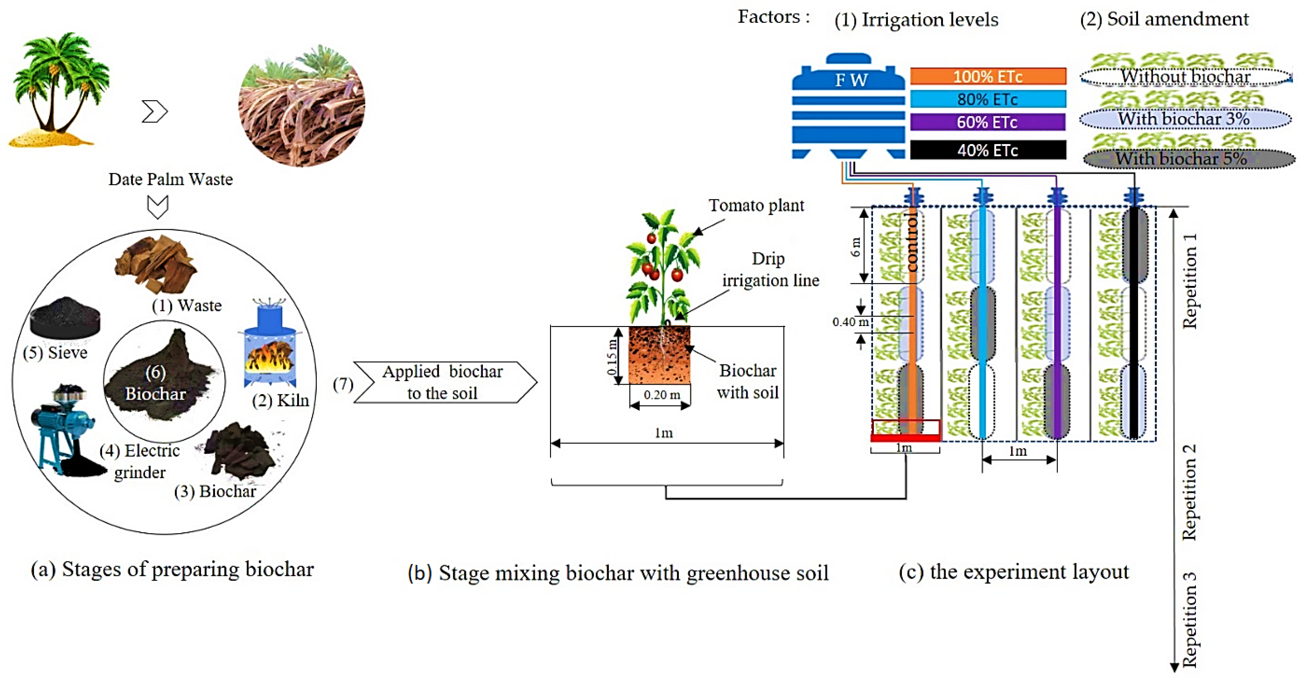 Plants 14 03293 g007 Plants 14 03293 g007