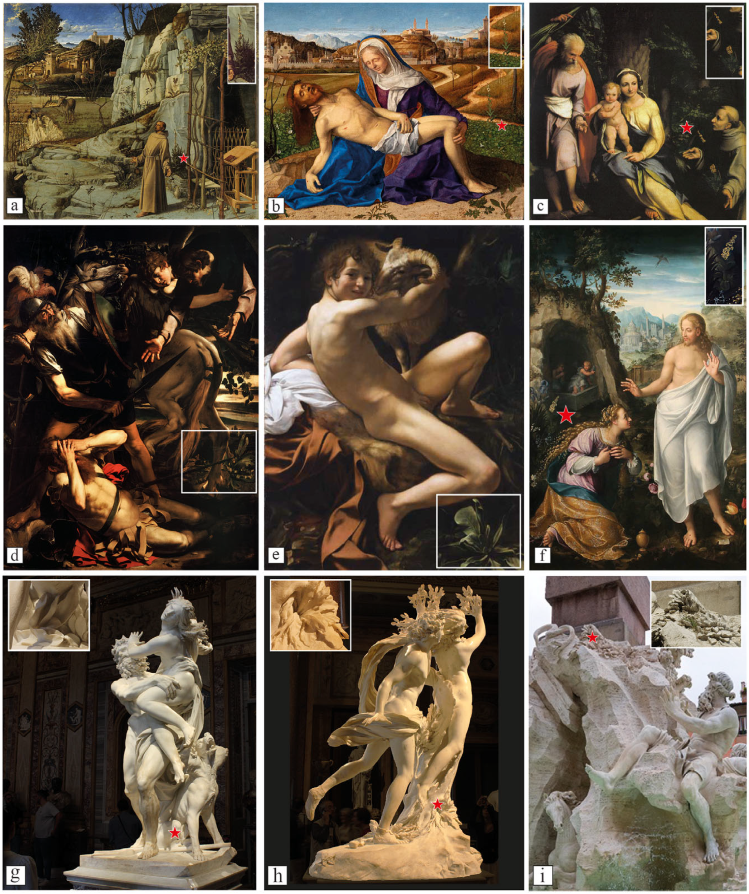 Plants 14 03294 g004 Plants 14 03294 g004