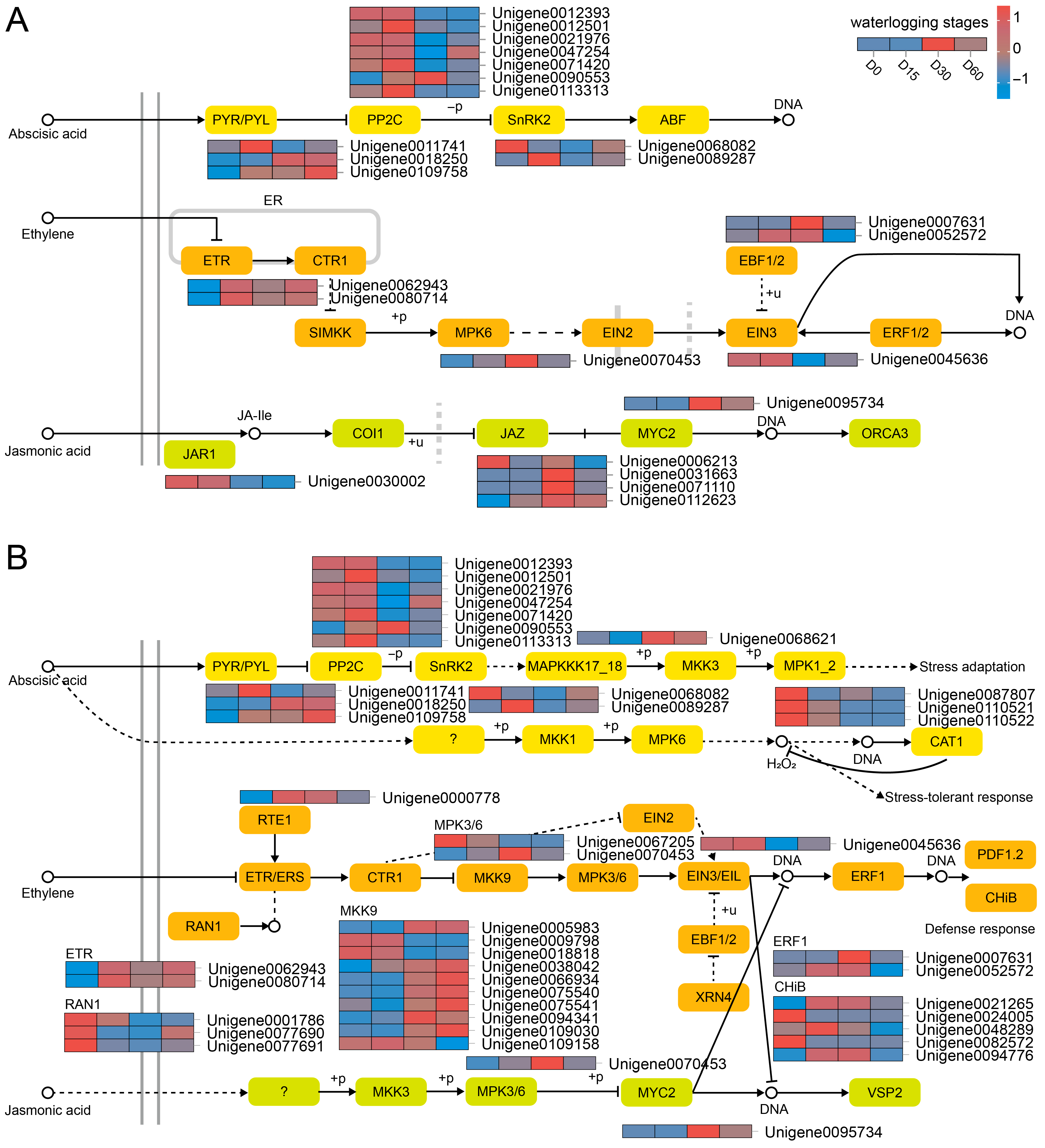 Plants 14 03295 g004 Plants 14 03295 g004
