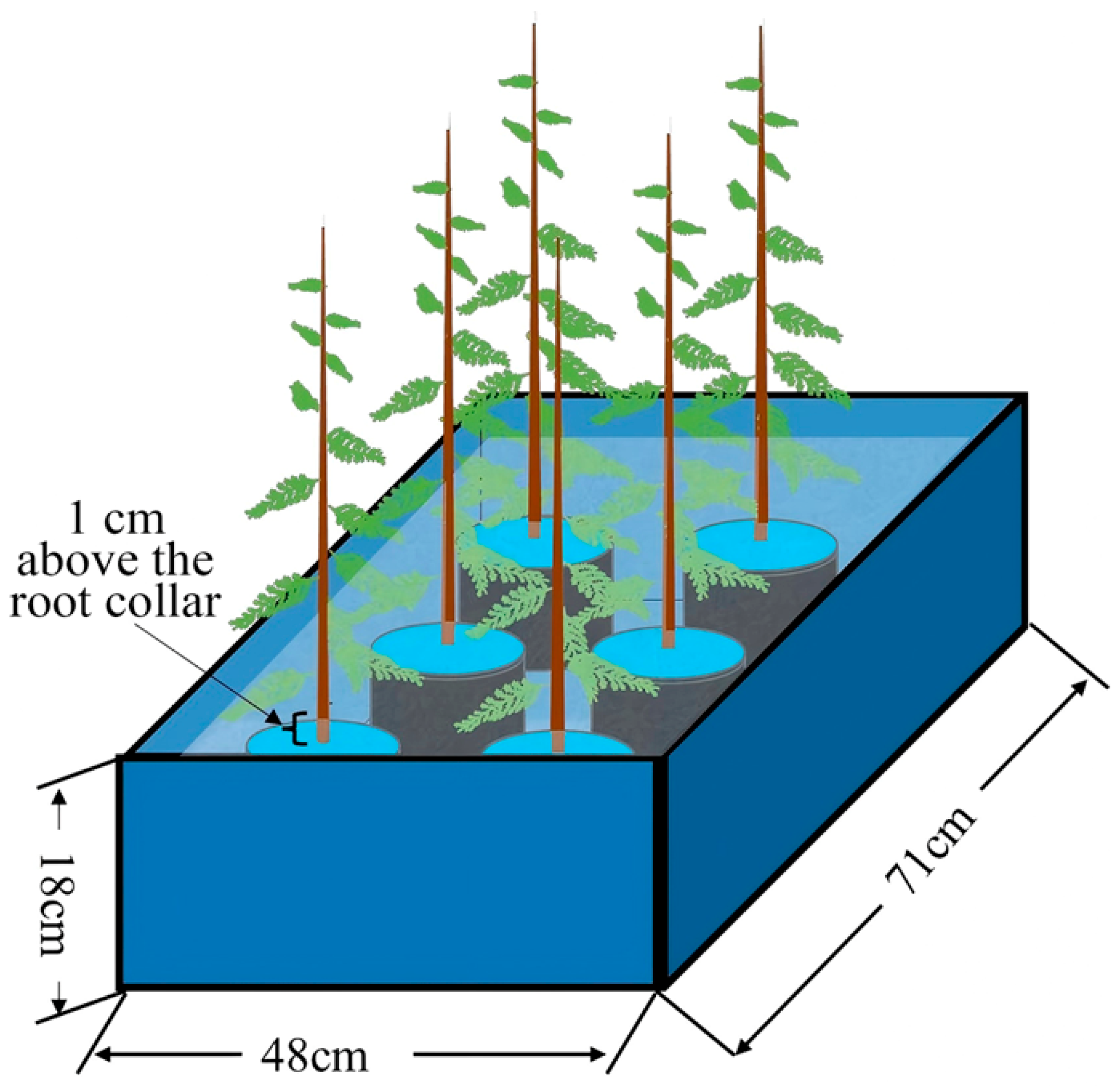 Plants 14 03295 g006 Plants 14 03295 g006