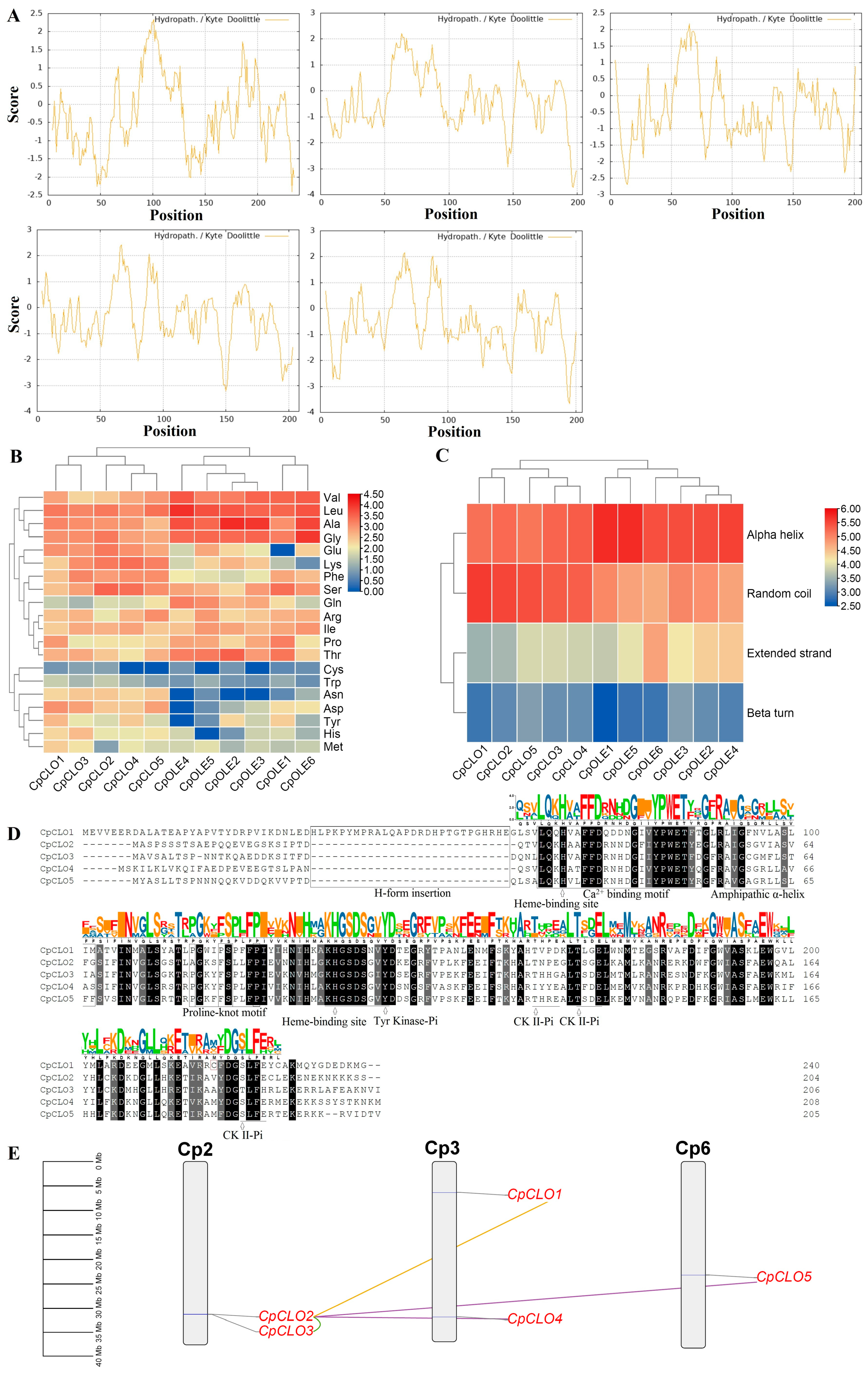 Plants 14 03296 g001 Plants 14 03296 g001