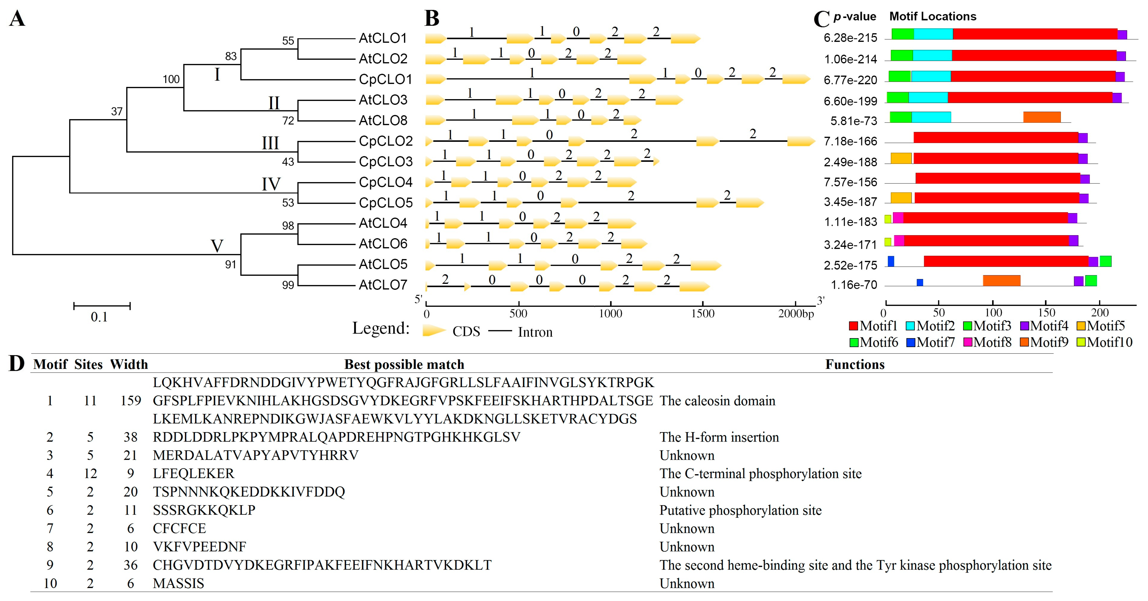 Plants 14 03296 g002 Plants 14 03296 g002