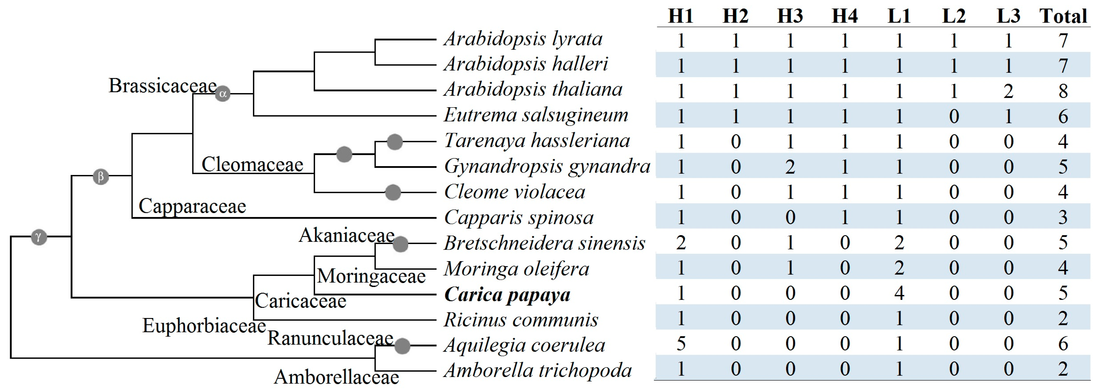 Plants 14 03296 g003 Plants 14 03296 g003