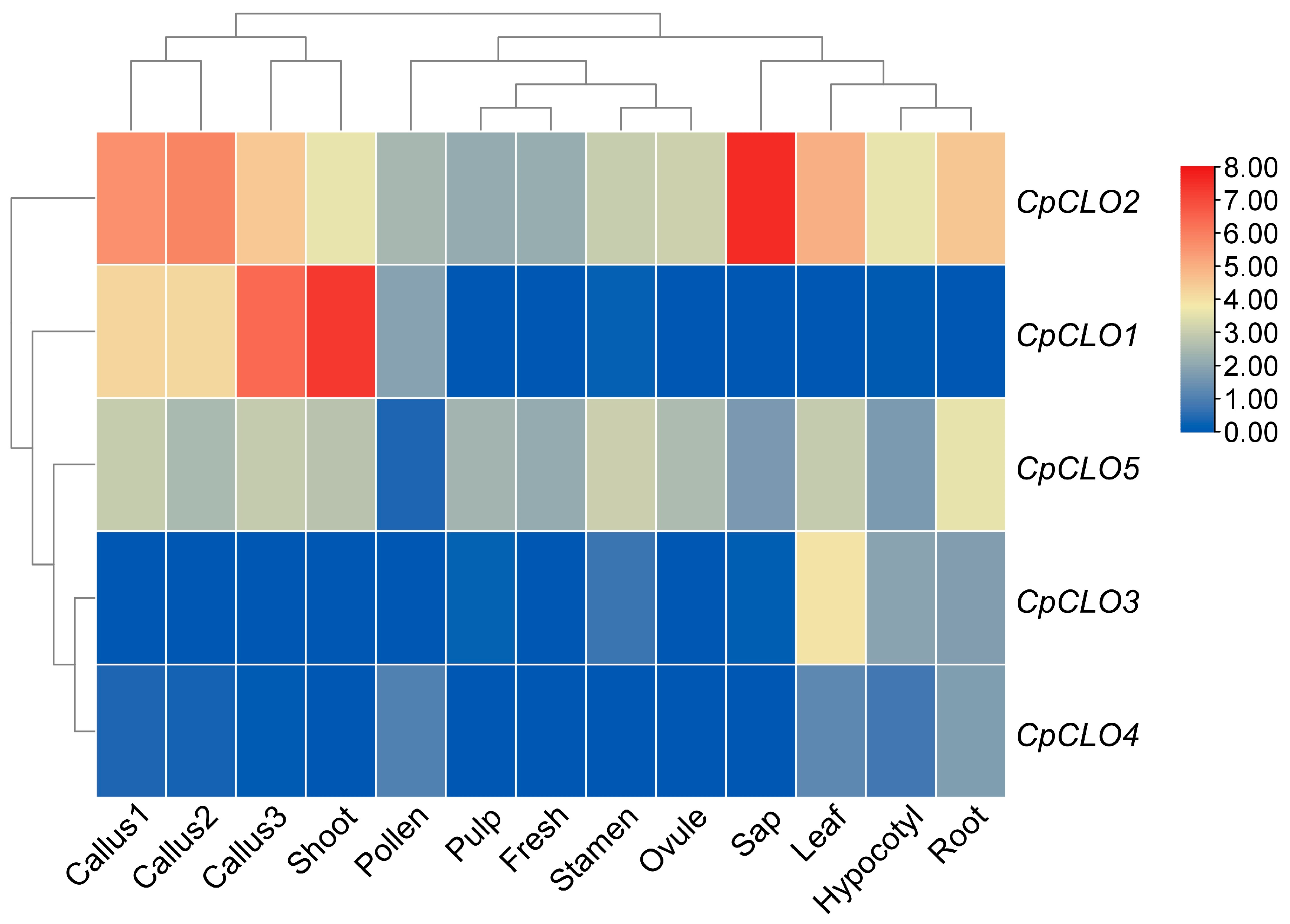 Plants 14 03296 g005 Plants 14 03296 g005